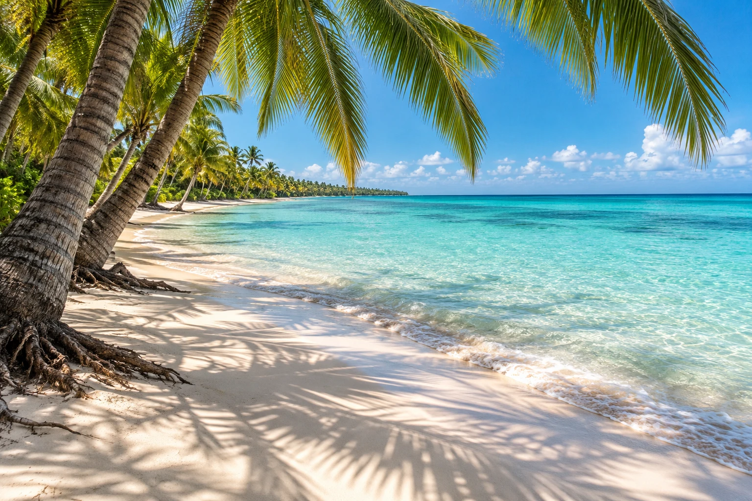 Palm shadows on white sand beside turquoise water. The image does not confirm facilities or reserved shade.