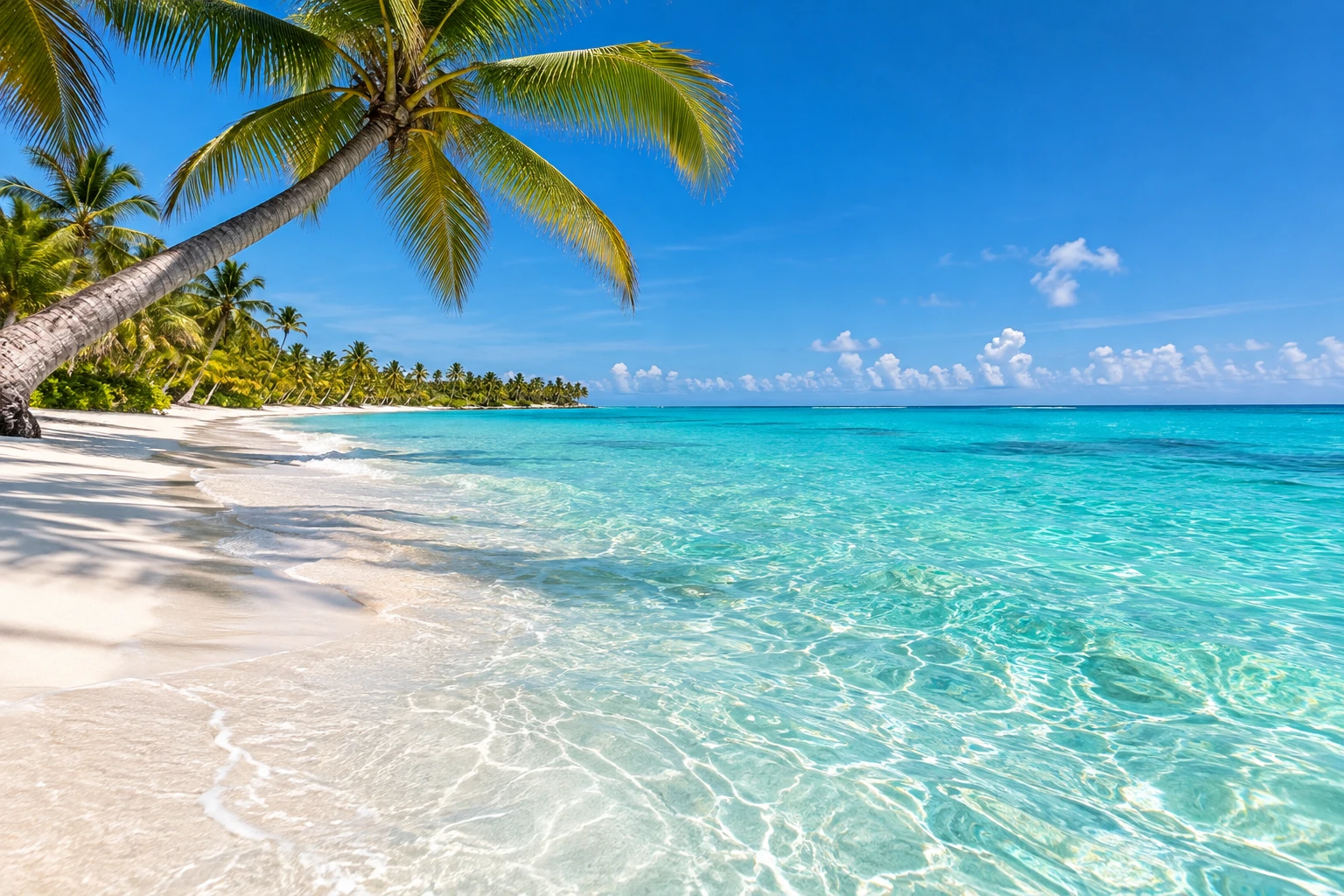 Coconut palms framing white sand and clear turquoise Caribbean water