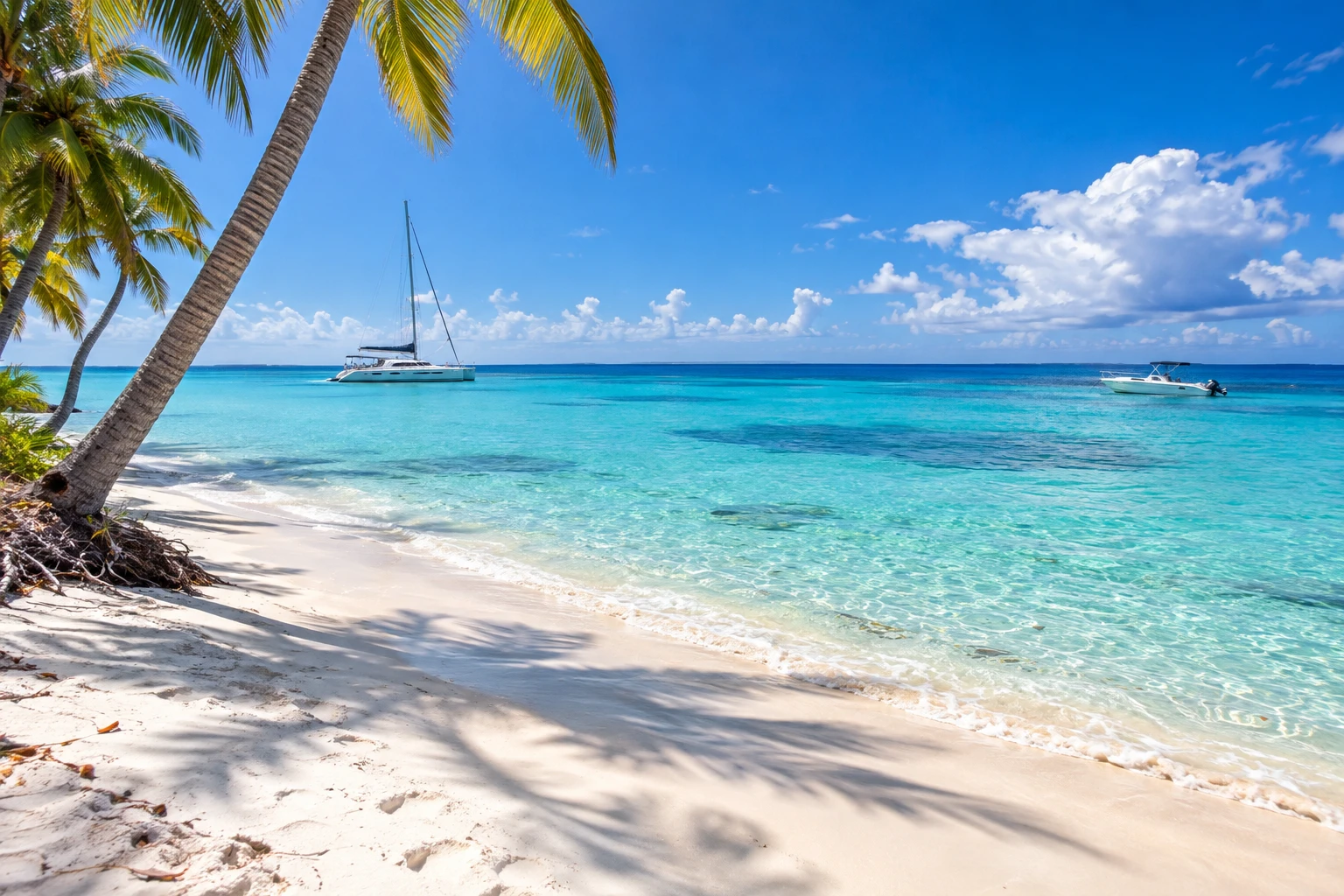 An illustrative catamaran and speedboat on turquoise water beside a white palm-lined beach