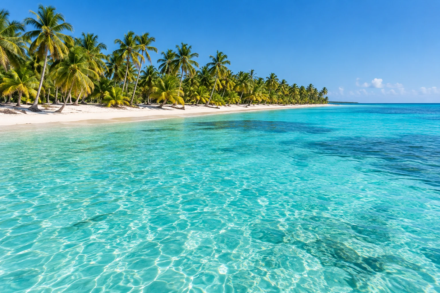 Aerial-style view of a white-sand coastline and transparent turquoise shallows
