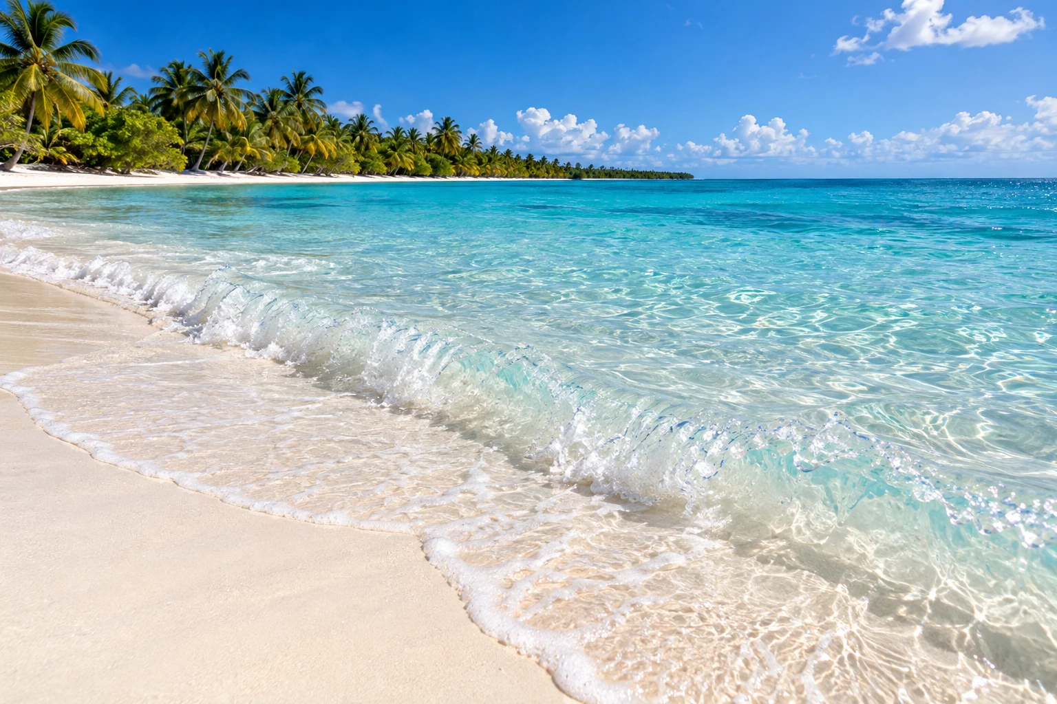A small transparent wave washing onto fine white sand beside coconut palms