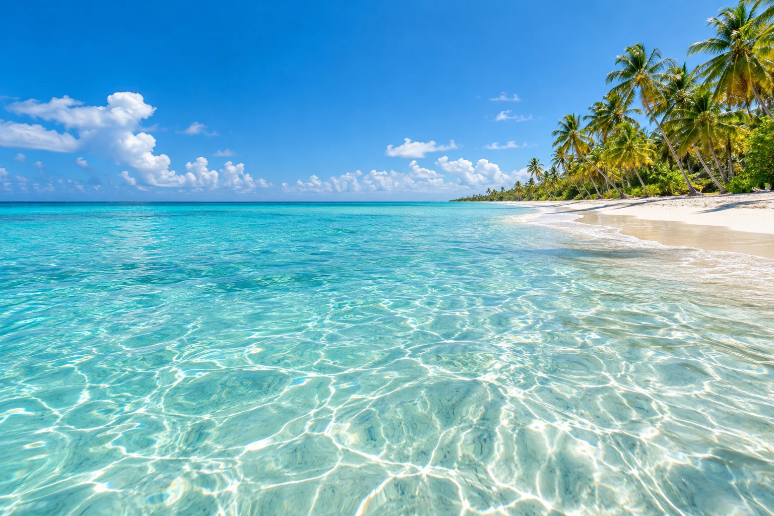 Clear turquoise shallows facing a white beach lined with coconut palms