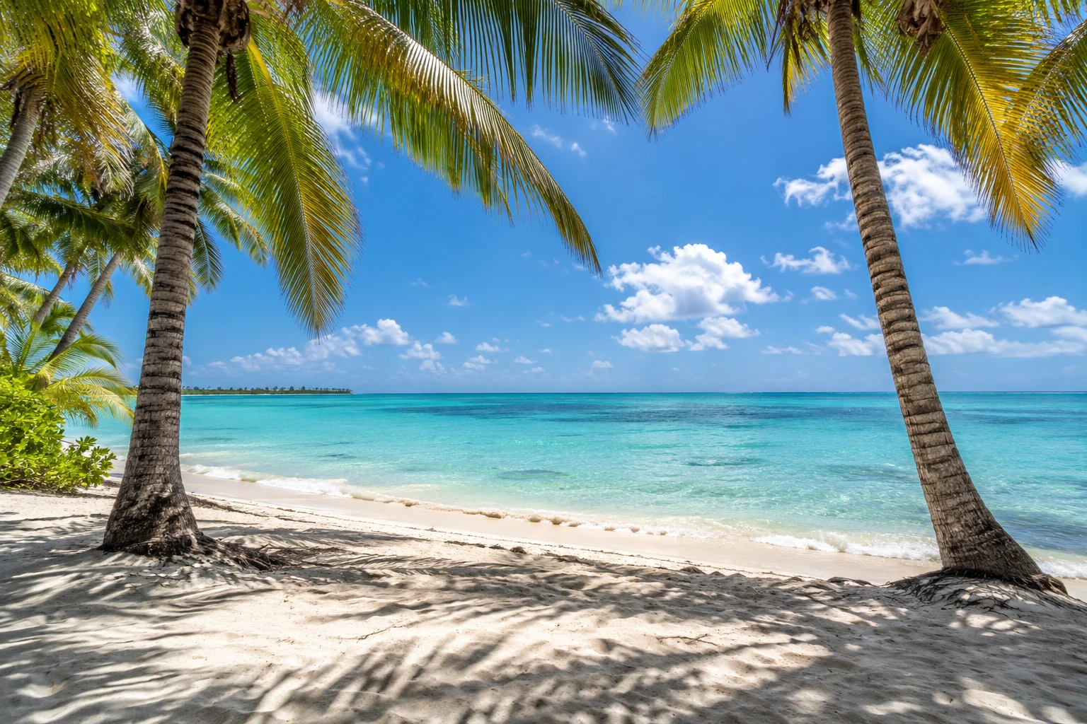 Palm shadows across white sand beside a luminous turquoise sea