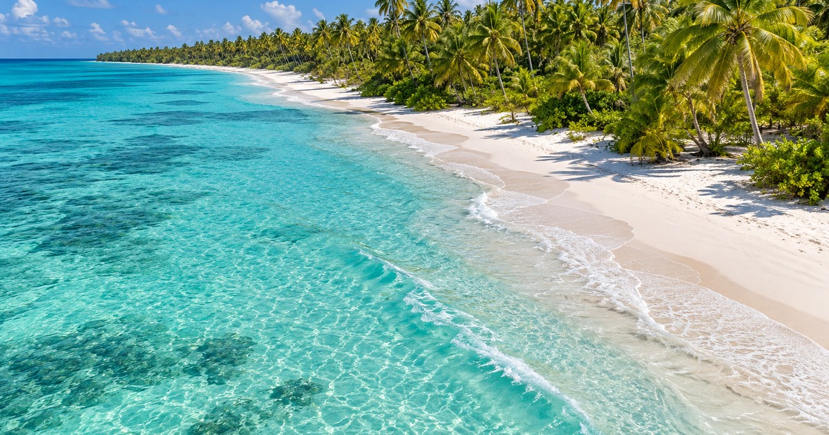 Airport Transfers in the Dominican Republic | LoveSaona