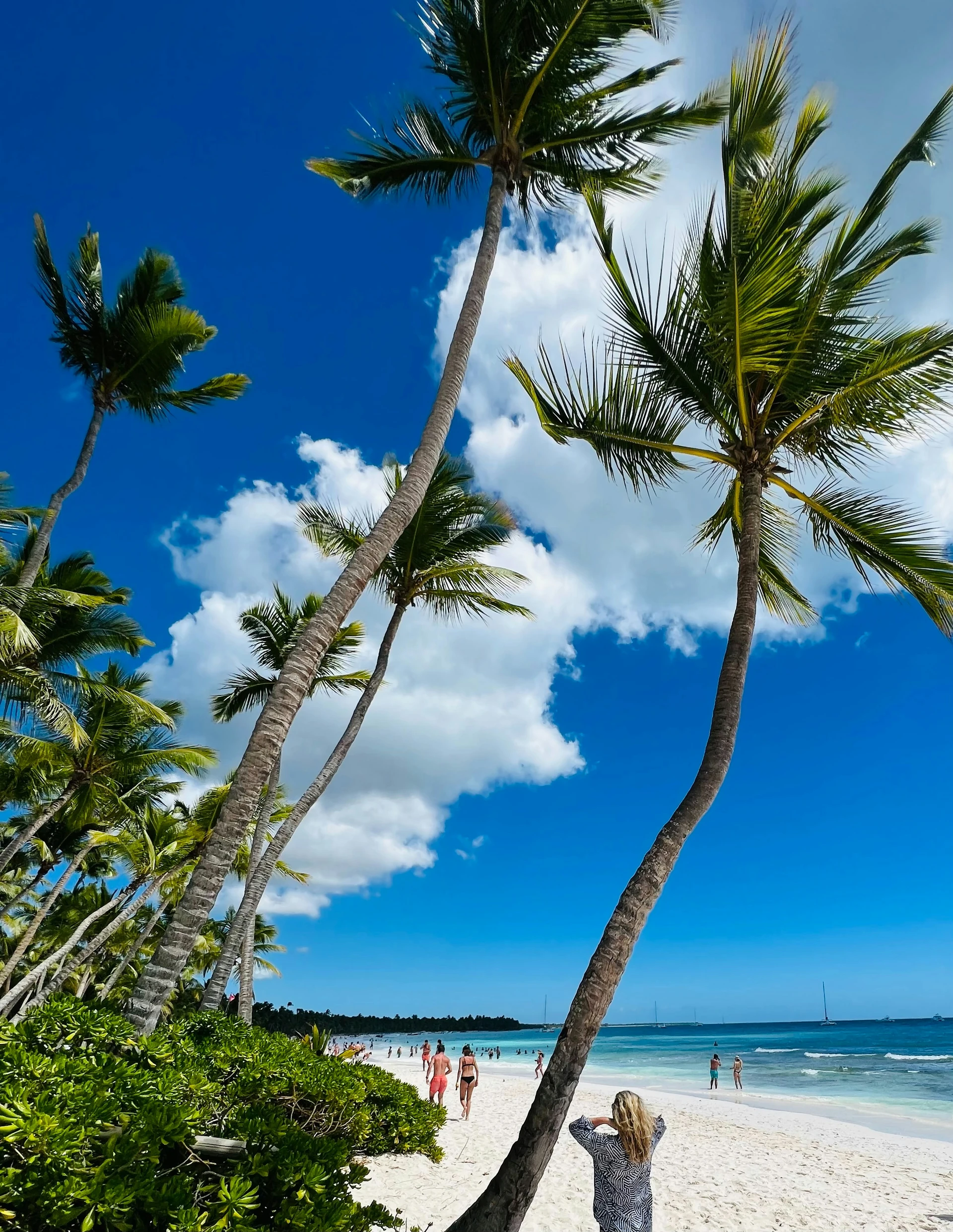 Alte palme da cocco sovrastano visitatori e una spiaggia bianca accanto all’acqua blu di Saona.
