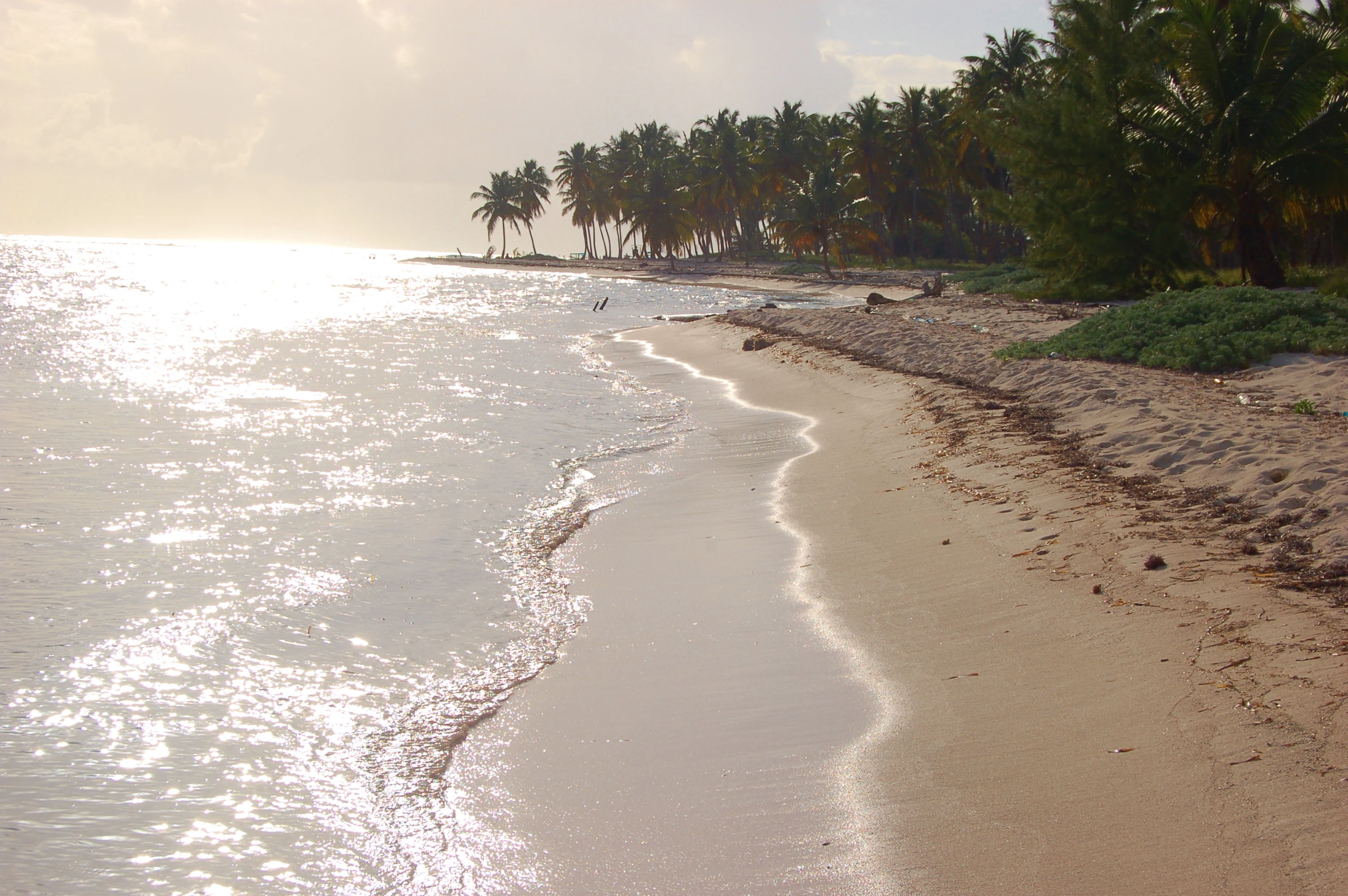 Il sole basso scintilla sul mare accanto a una spiaggia curva di Saona fiancheggiata da palme da cocco.