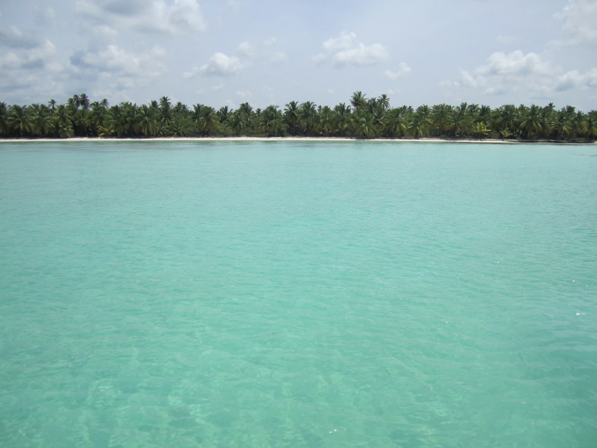 Acque basse e turchesi raggiungono una spiaggia bianca bordata da palme da cocco sull’isola di Saona.