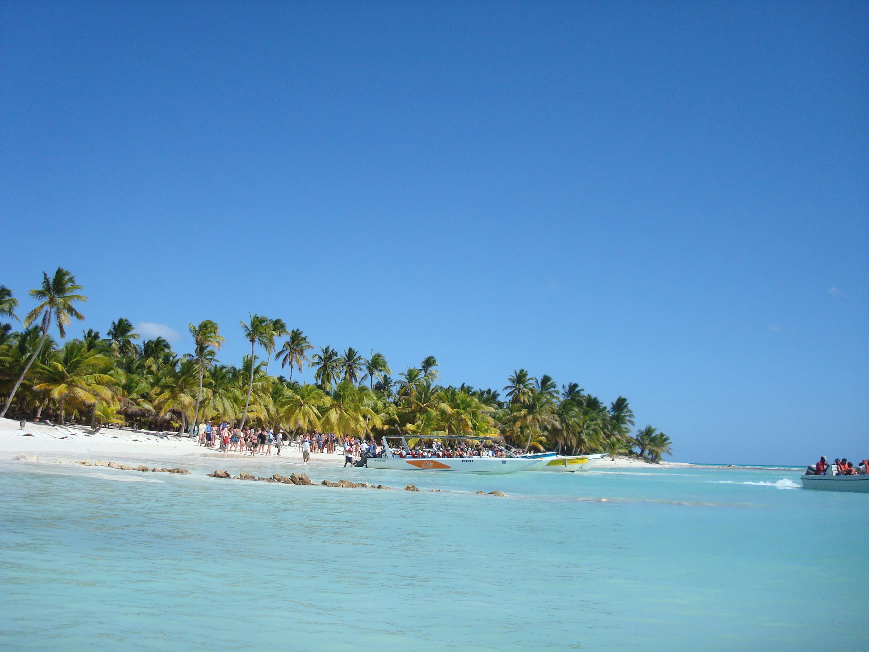 Acqua turchese limpida lambisce una spiaggia bianca di Saona con palme da cocco e visitatori.
