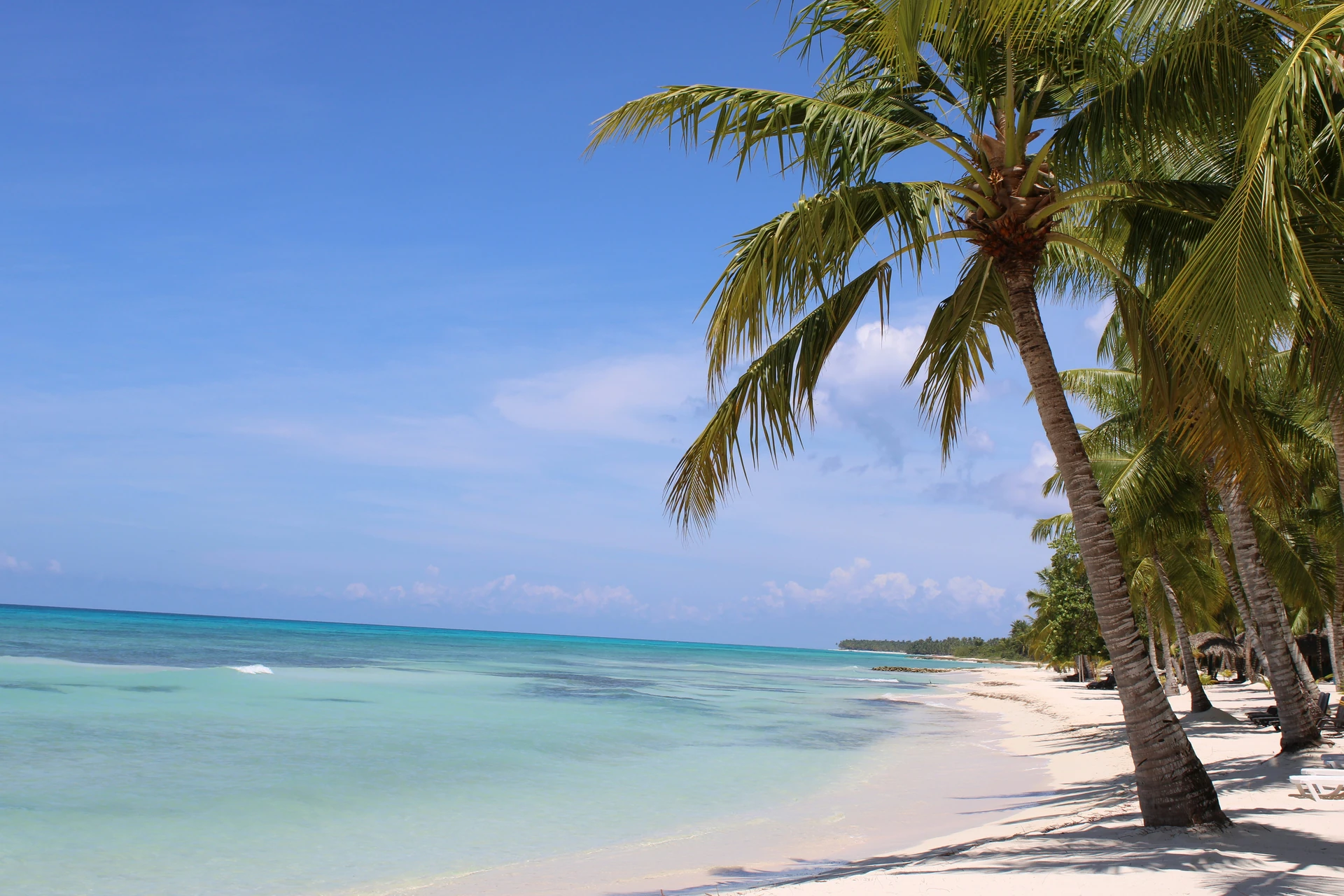 Le palme da cocco proiettano lunghe ombre su una spiaggia bianca di Saona accanto all’acqua turchese chiaro.
