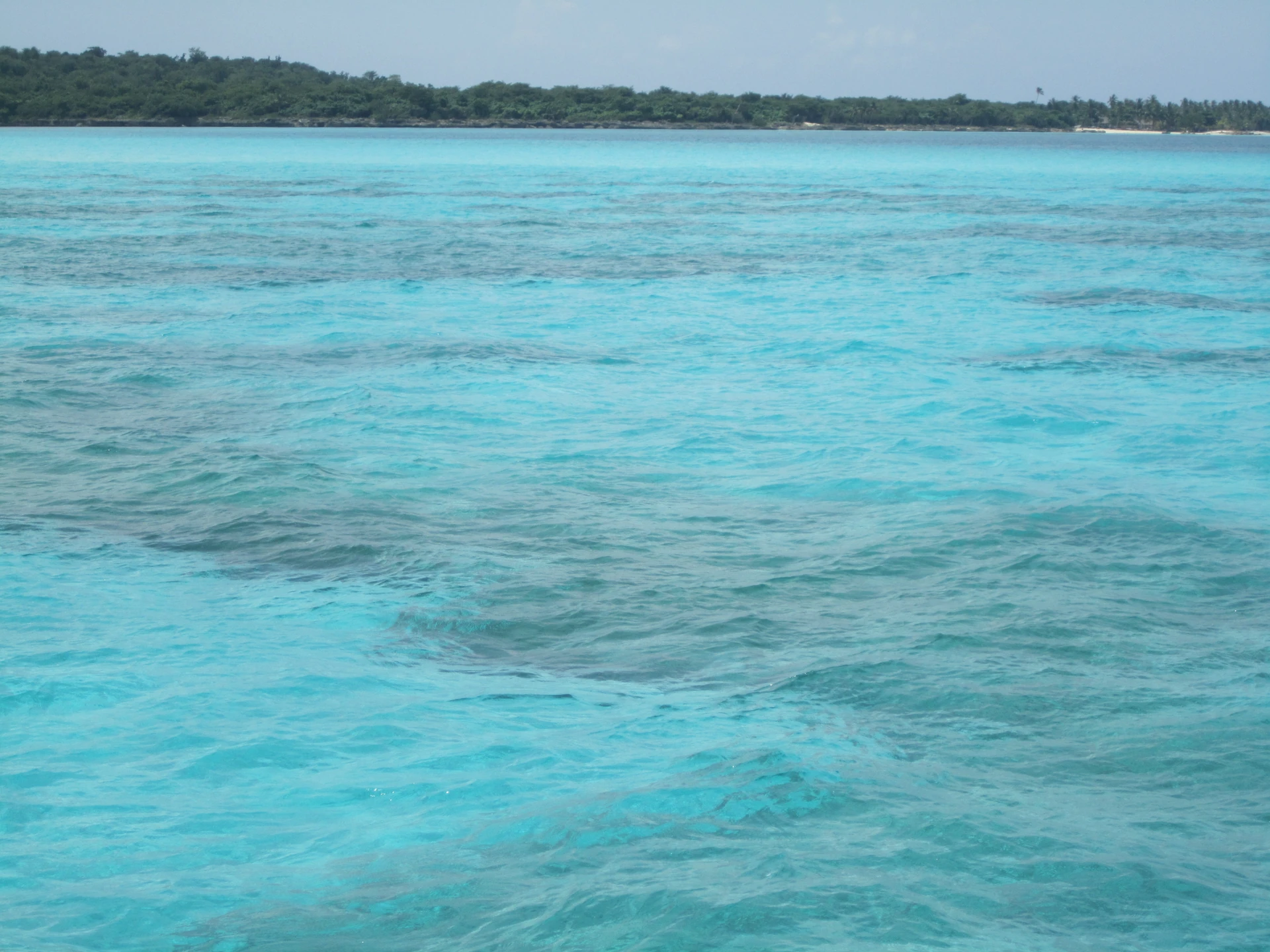 Acqua trasparente verde-azzurra si estende verso la costa bassa e alberata dell’isola di Saona.