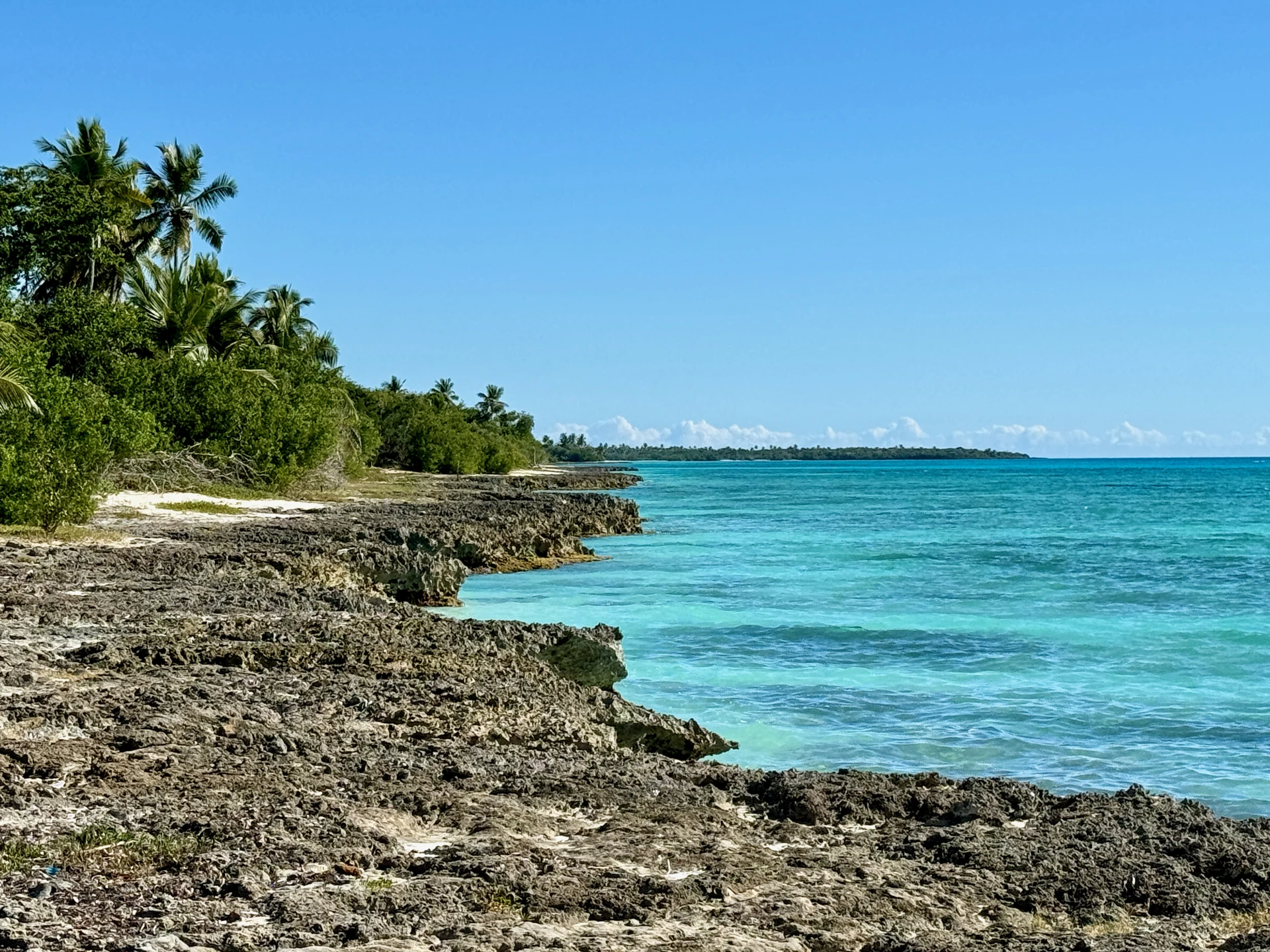 Acqua turchese luminosa costeggia il basso litorale roccioso dell’isola di Saona, con alberi verdi e palme.