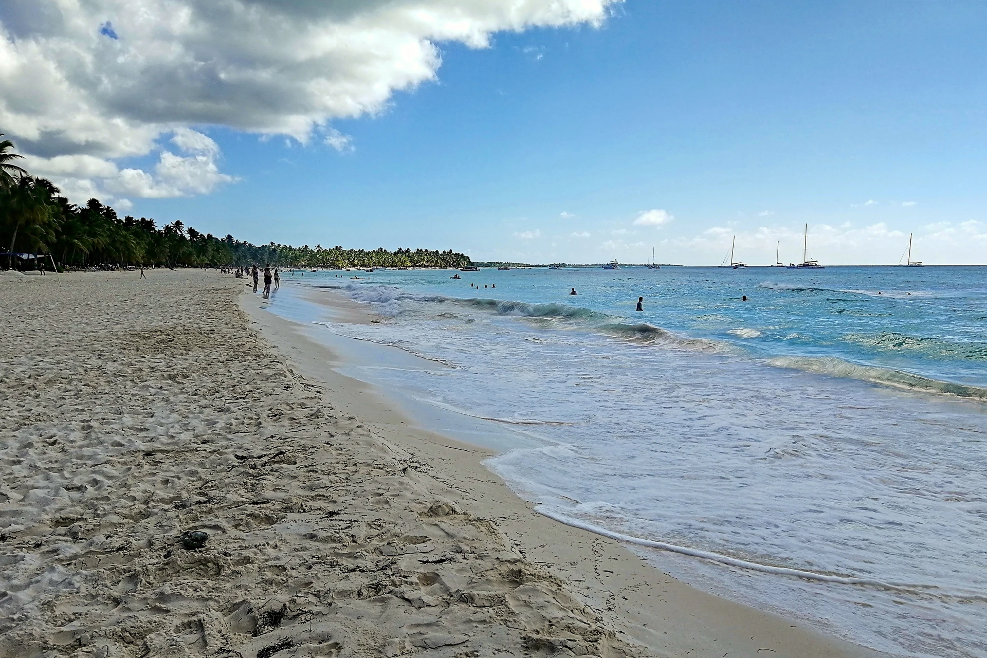 Un’ampia spiaggia bianca di Saona incontra piccole onde verdeazzurre, con palme lungo la riva e barche a vela al largo.
