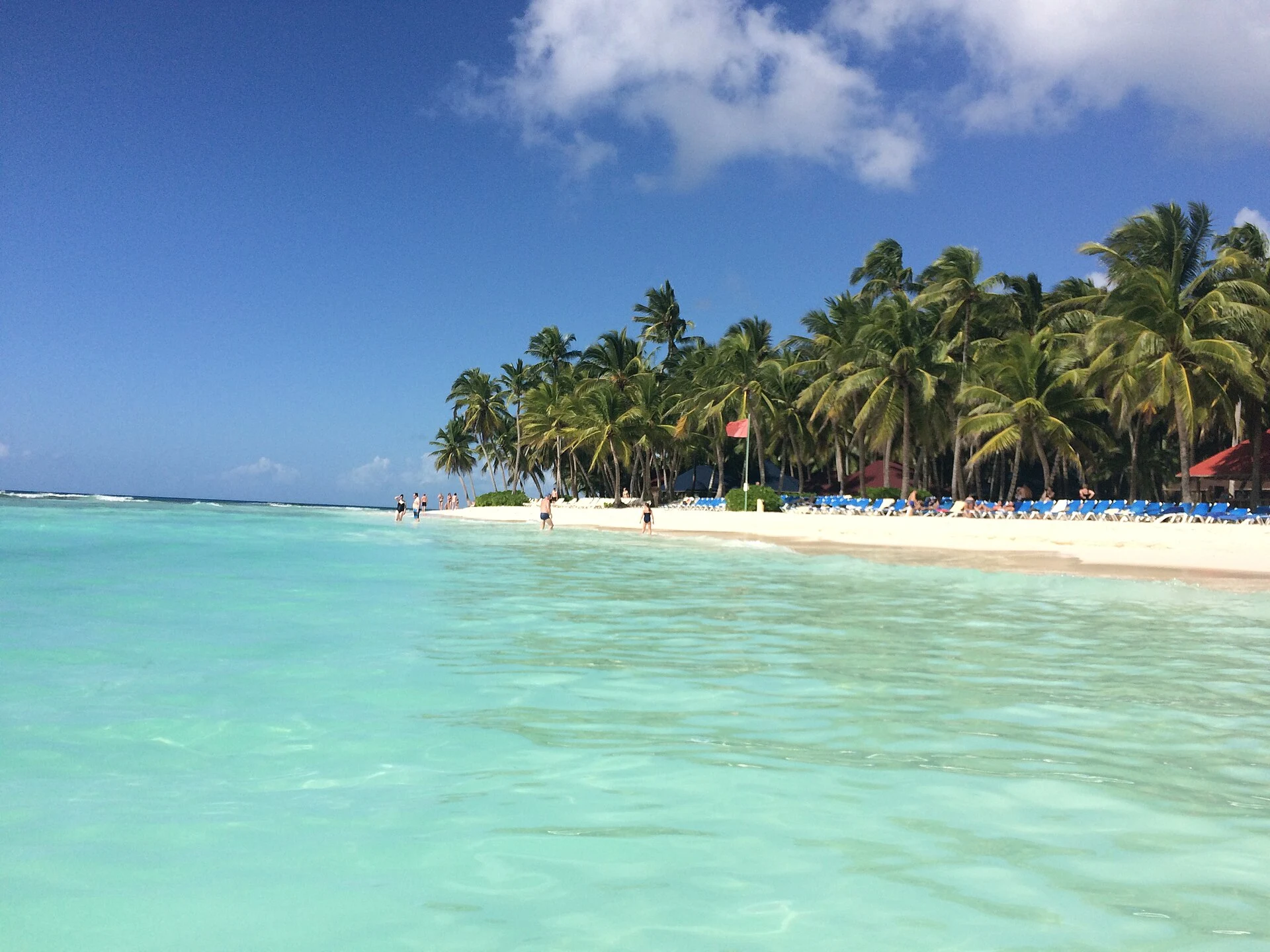 Acqua turchese accanto a una spiaggia di sabbia bianca bordata di palme a Saona