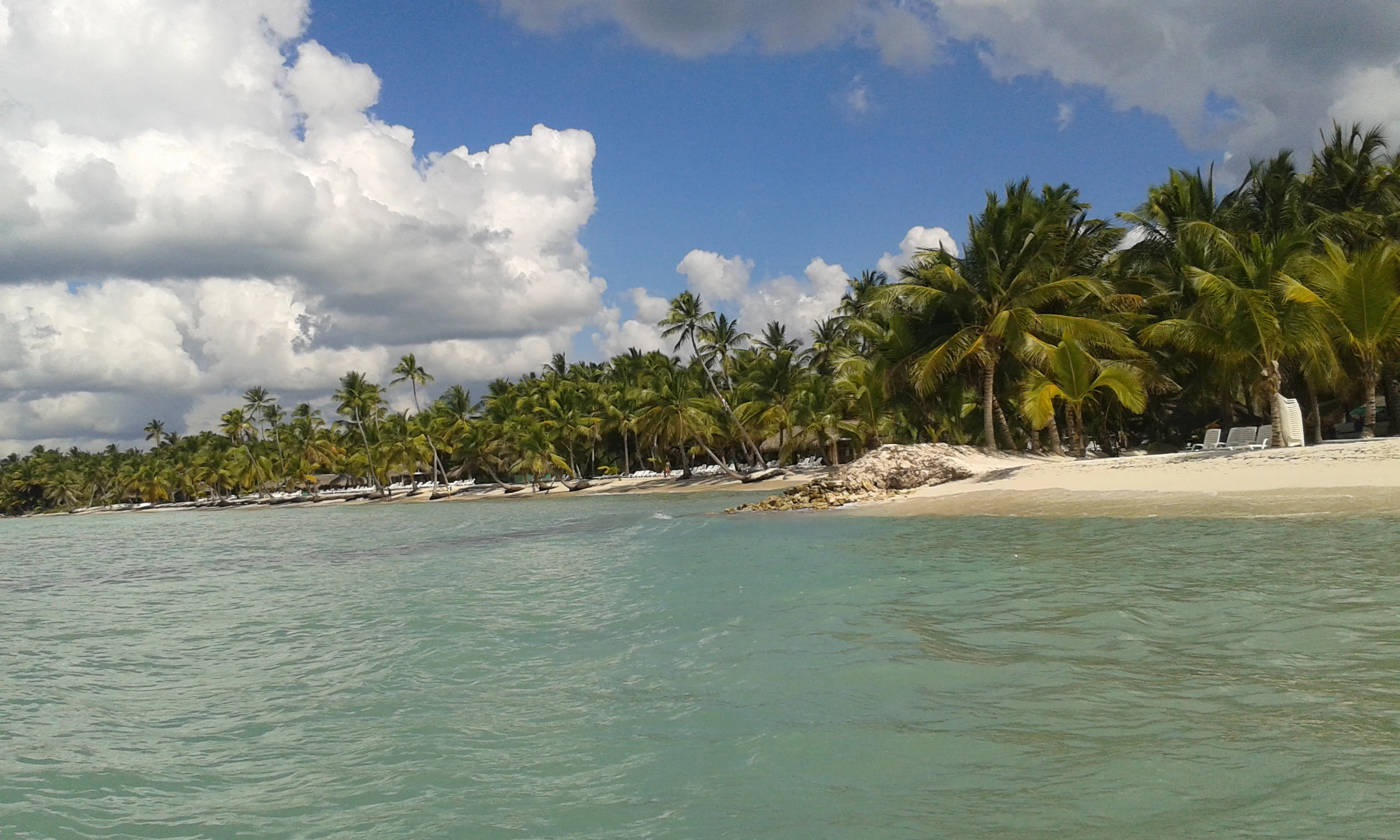 Dall’acqua si vede un tratto di costa di Saona con palme, sabbia chiara e lettini.