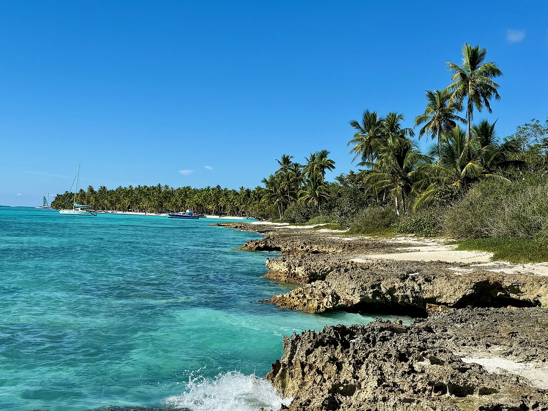 Acqua caraibica turchese lungo una costa rocciosa chiara di Saona con palme da cocco alle spalle