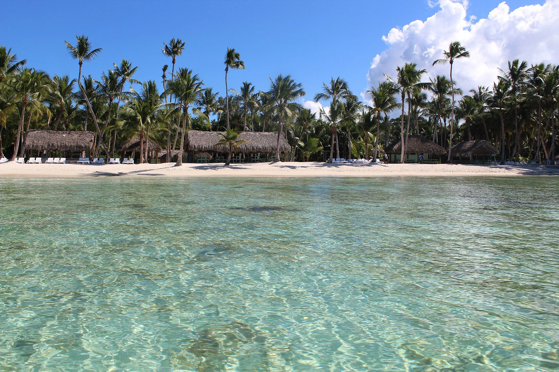 Acqua limpida e poco profonda davanti a una spiaggia di palme a Saona