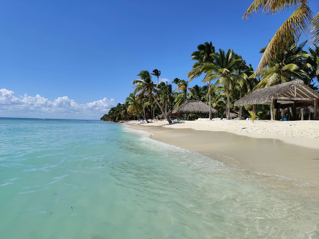 Klares türkisfarbenes Wasser trifft auf einen weißen Sandstrand auf Saona mit Kokospalmen, strohgedeckten Unterständen und weißen Liegen.