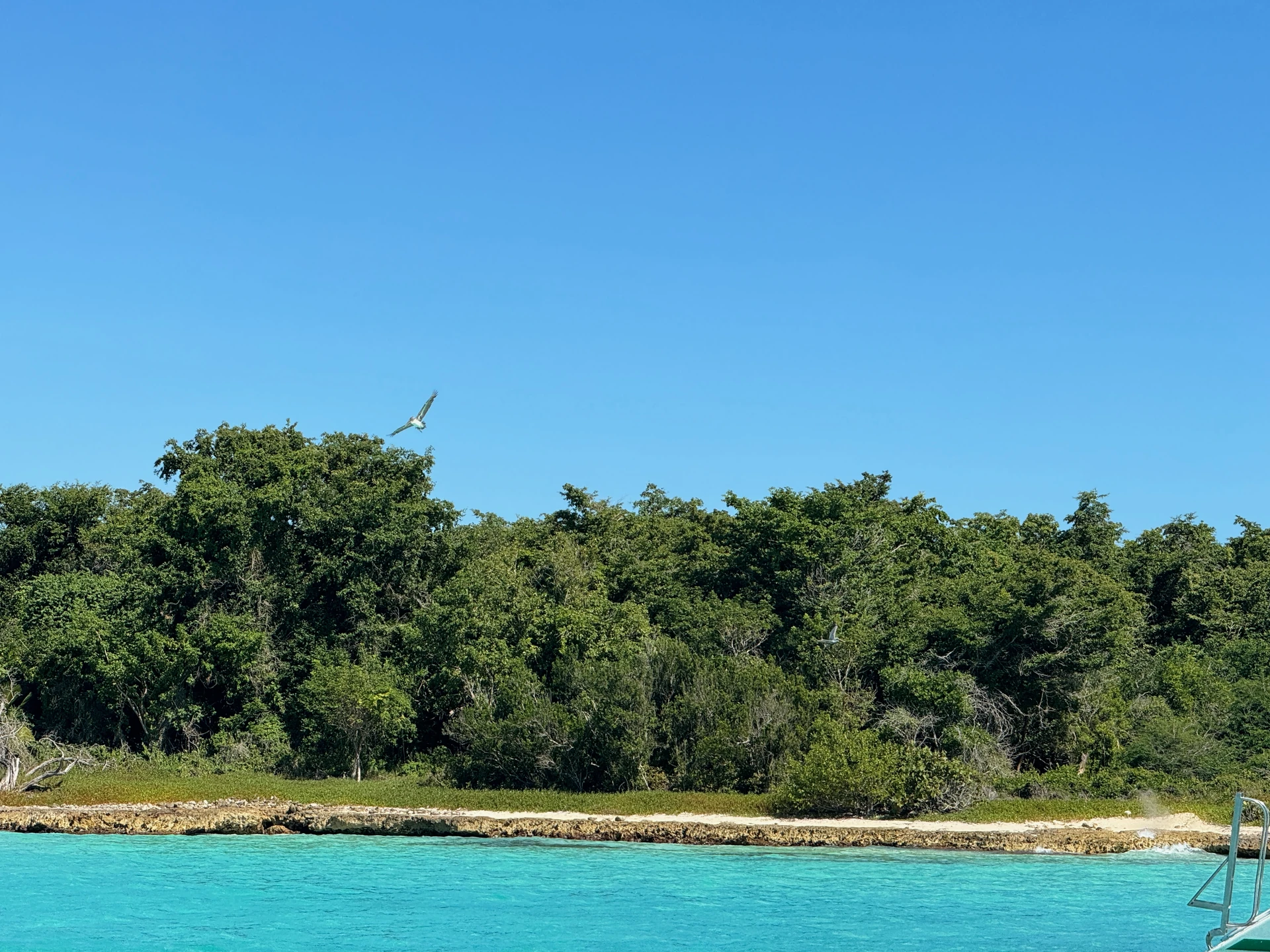 Acqua turchese brillante lambisce la costa bassa e rocciosa di Saona con fitta vegetazione verde.