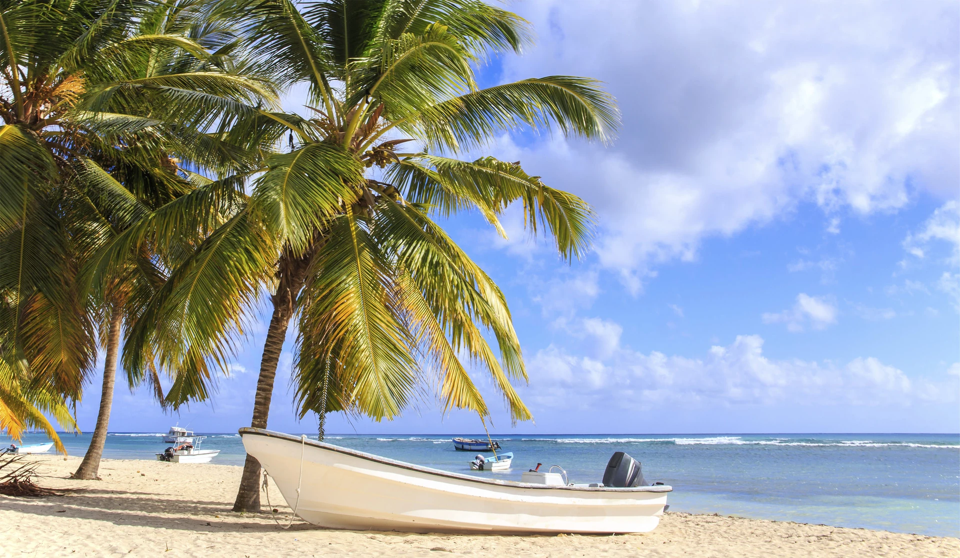 Una piccola barca a motore bianca è ferma sulla sabbia chiara dell’isola di Saona, sotto le palme da cocco, accanto alle acque blu dei Caraibi.