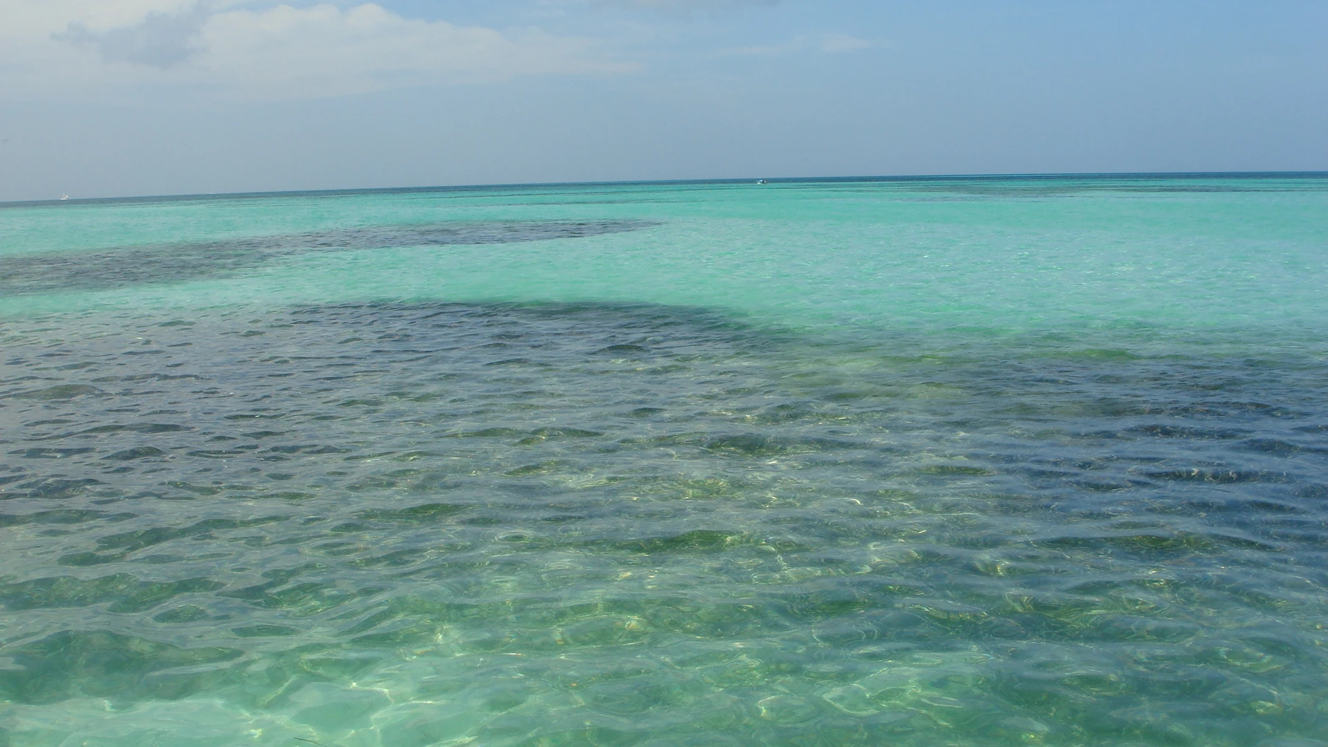 La luce del sole rivela il fondale sabbioso sotto acque basse, limpide e verde-azzurre vicino a Saona.