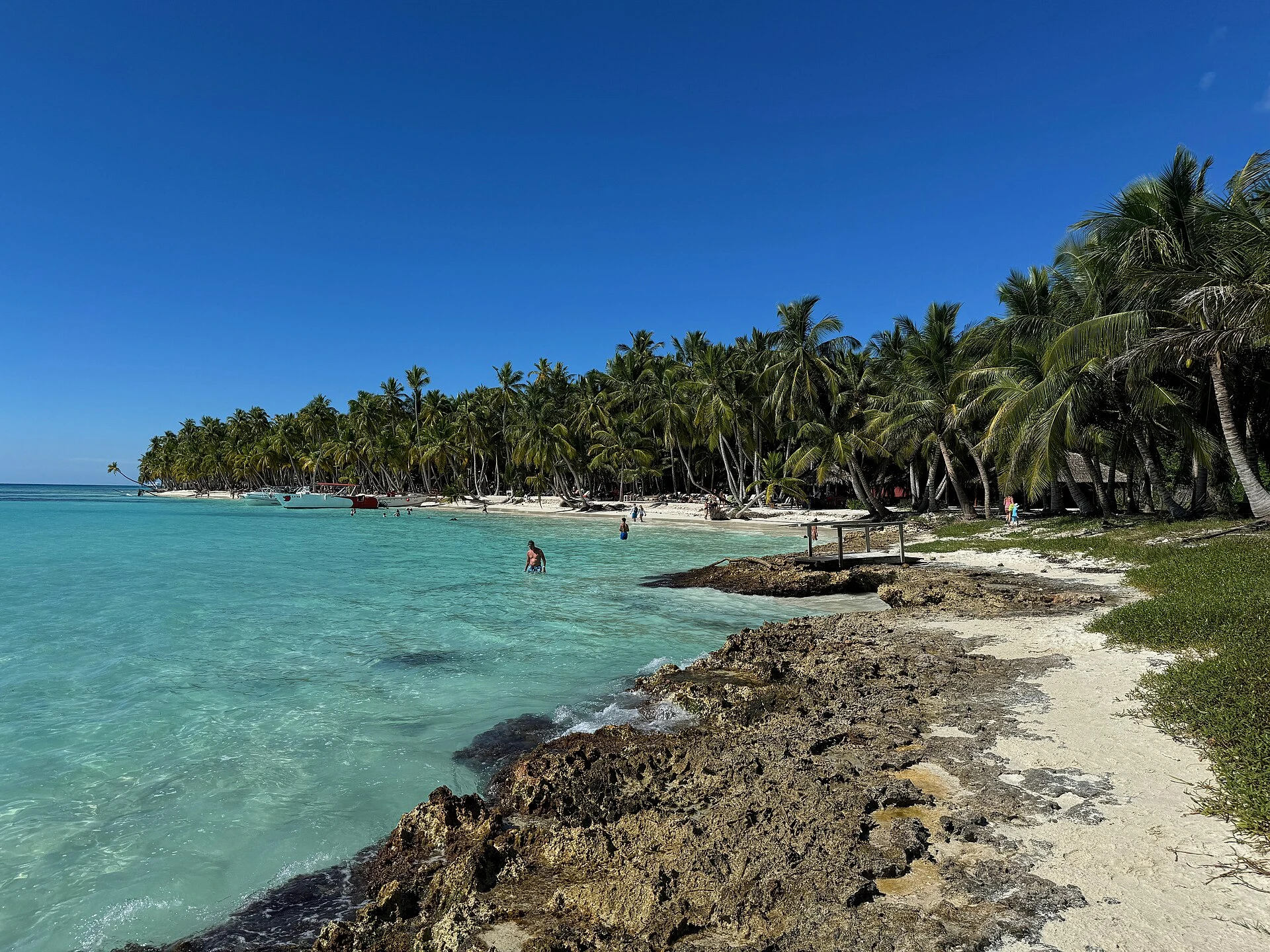 Aguas turquesas poco profundas junto a una costa de Saona con palmeras y pequeñas calas de arena