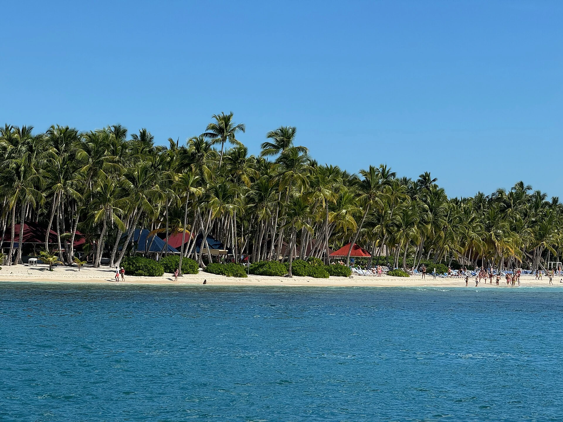 Sonniger weißer Saona-Sandstrand und Kokospalmen vom Meer aus gesehen