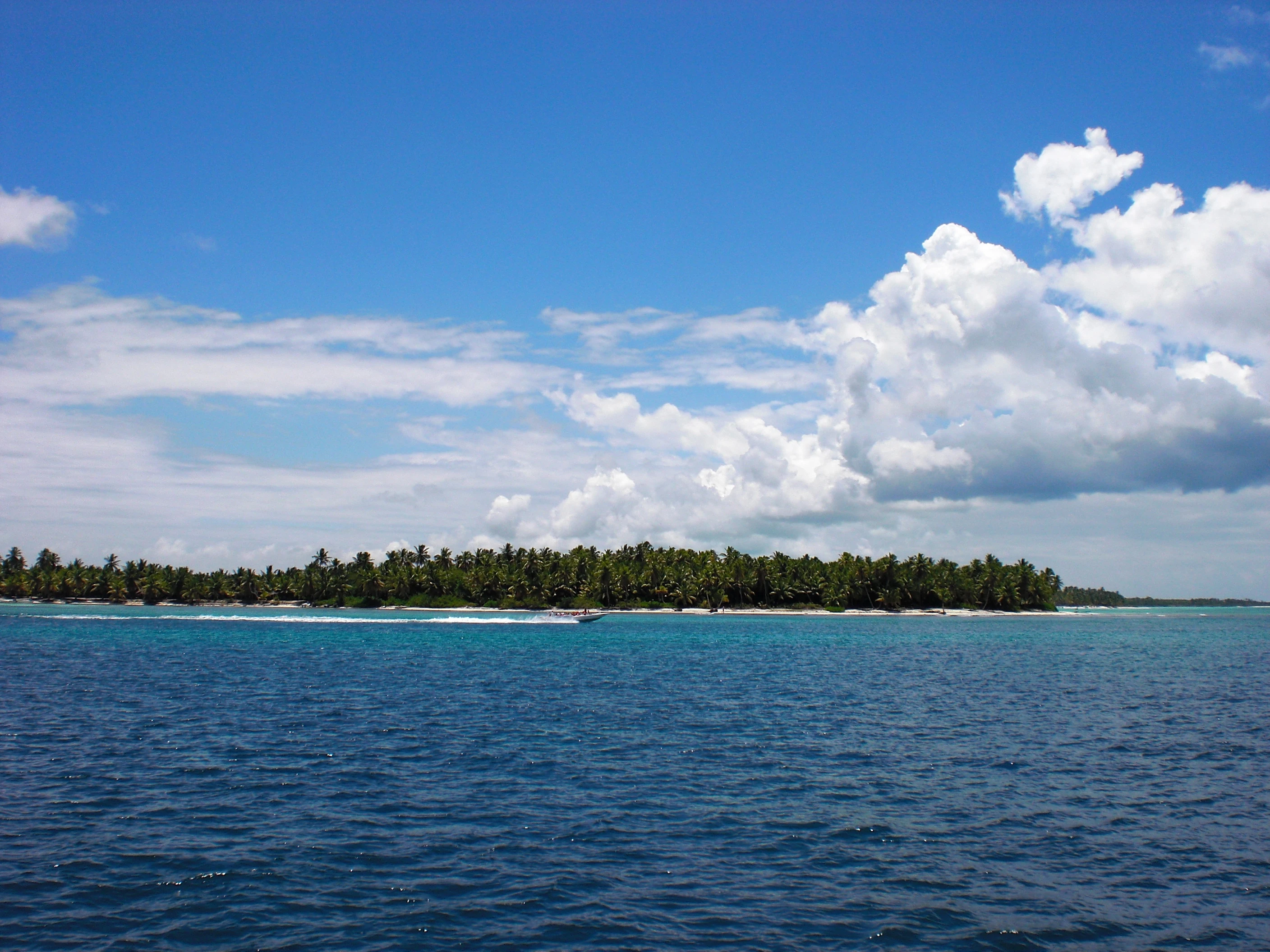 Il mare blu intenso si estende verso la bassa costa di Saona coperta di palme da cocco sotto un cielo limpido.
