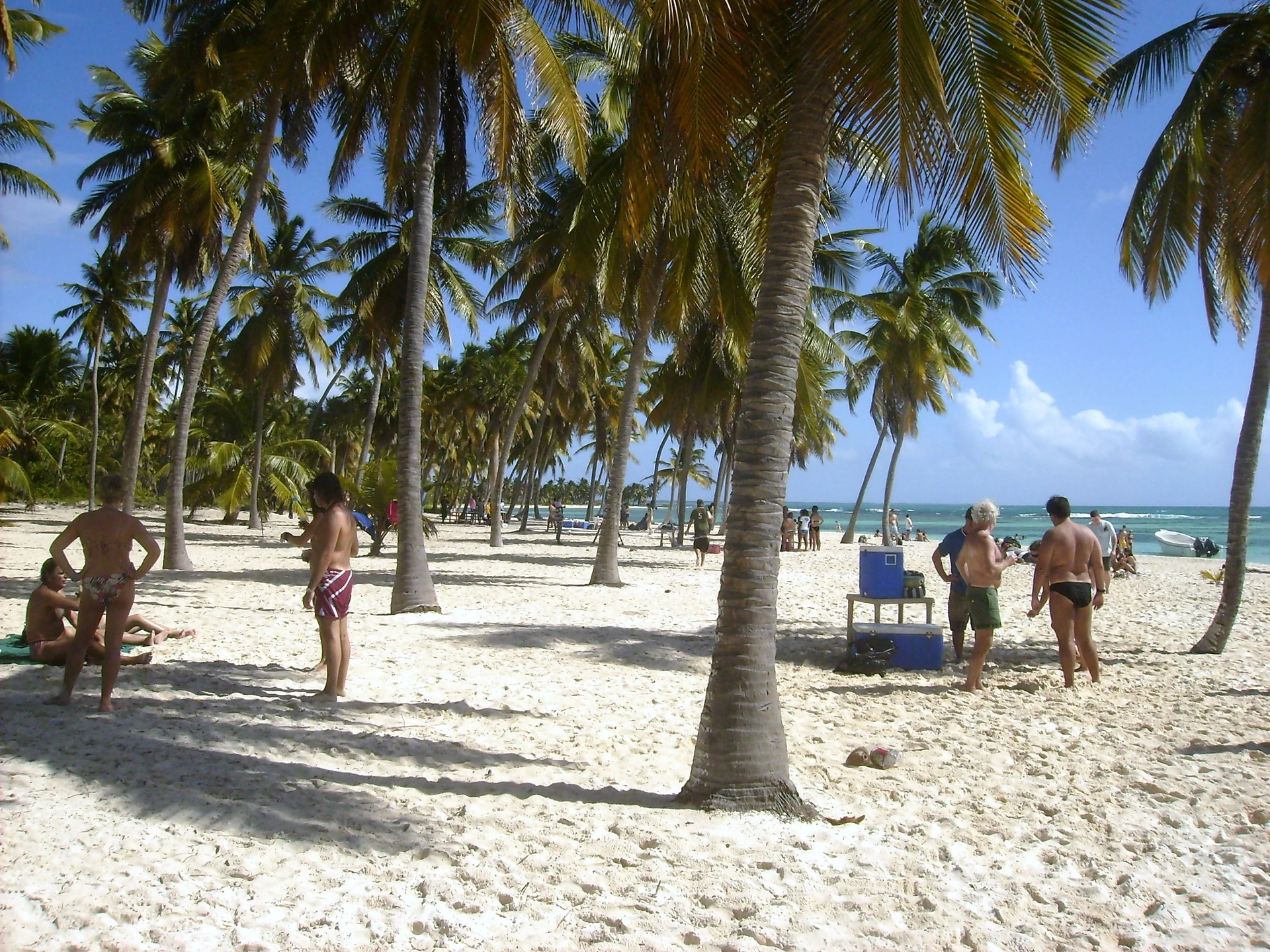 Le palme da cocco fanno ombra ai visitatori sulla sabbia bianca, mentre l’acqua turchese è visibile oltre il palmeto sull’isola di Saona.