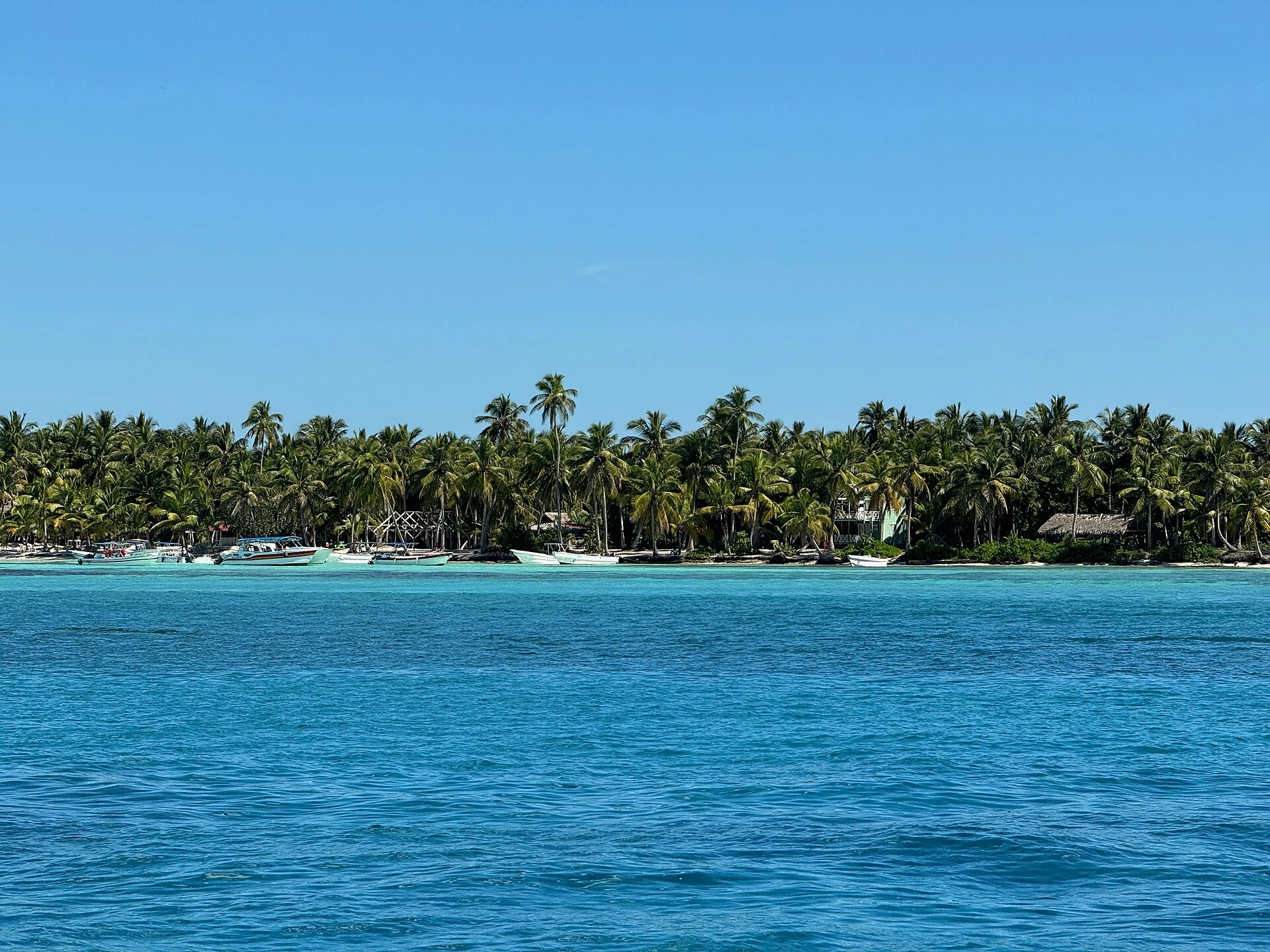Água azul brilhante diante da costa arenosa de Saona com palmeiras