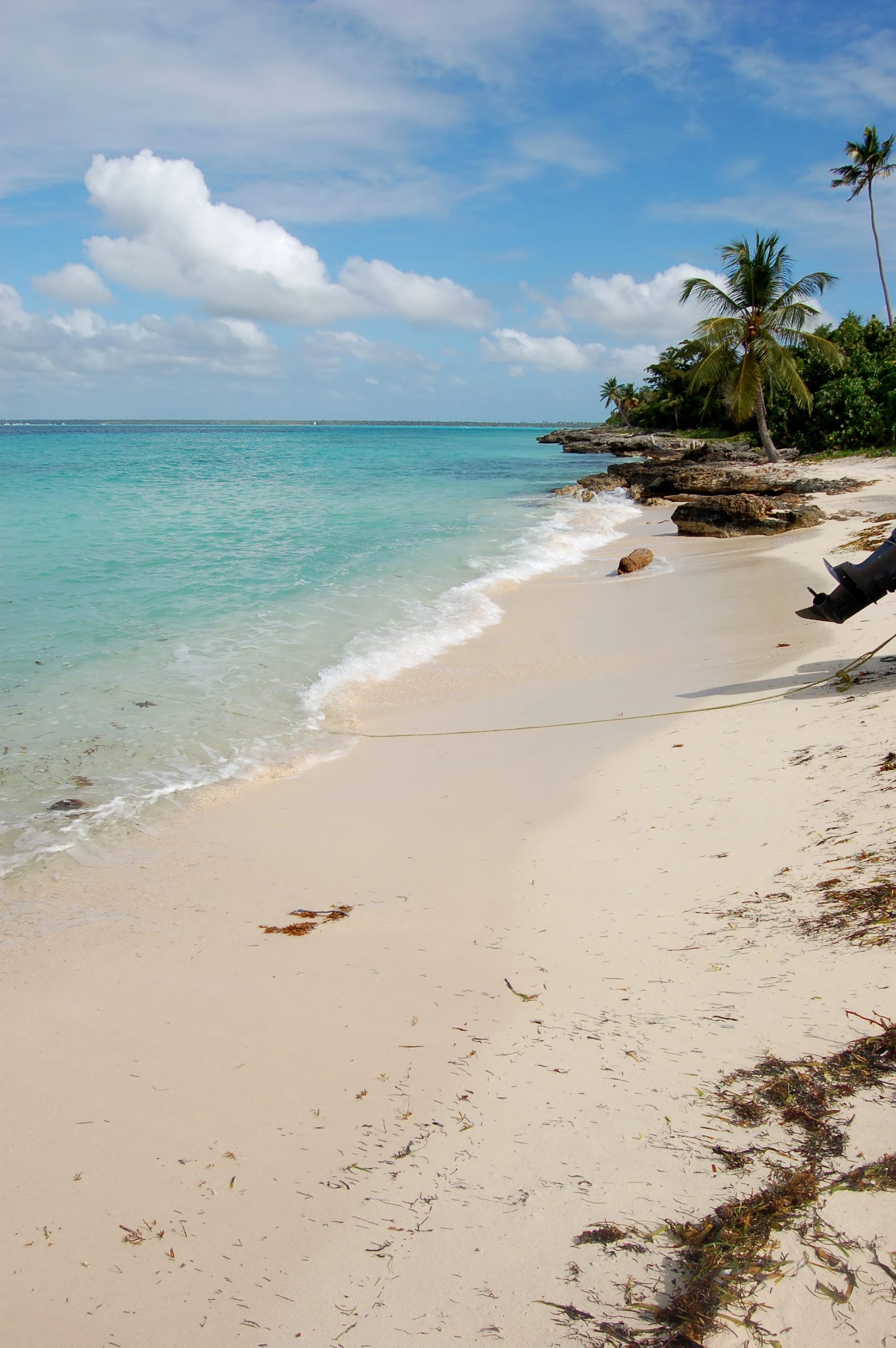 Una piccola onda arriva sulla sabbia bianca di Saona accanto ad acque limpide e a una costa rocciosa bordata di palme.