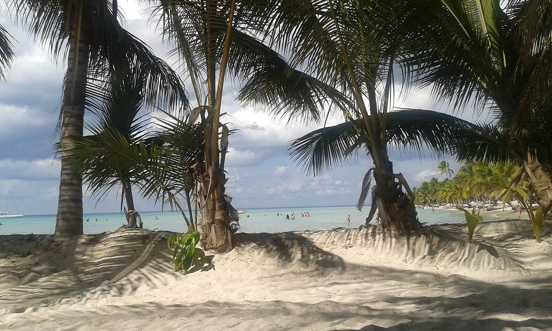 Coconut palms framing white sand and Caribbean water on Saona Island