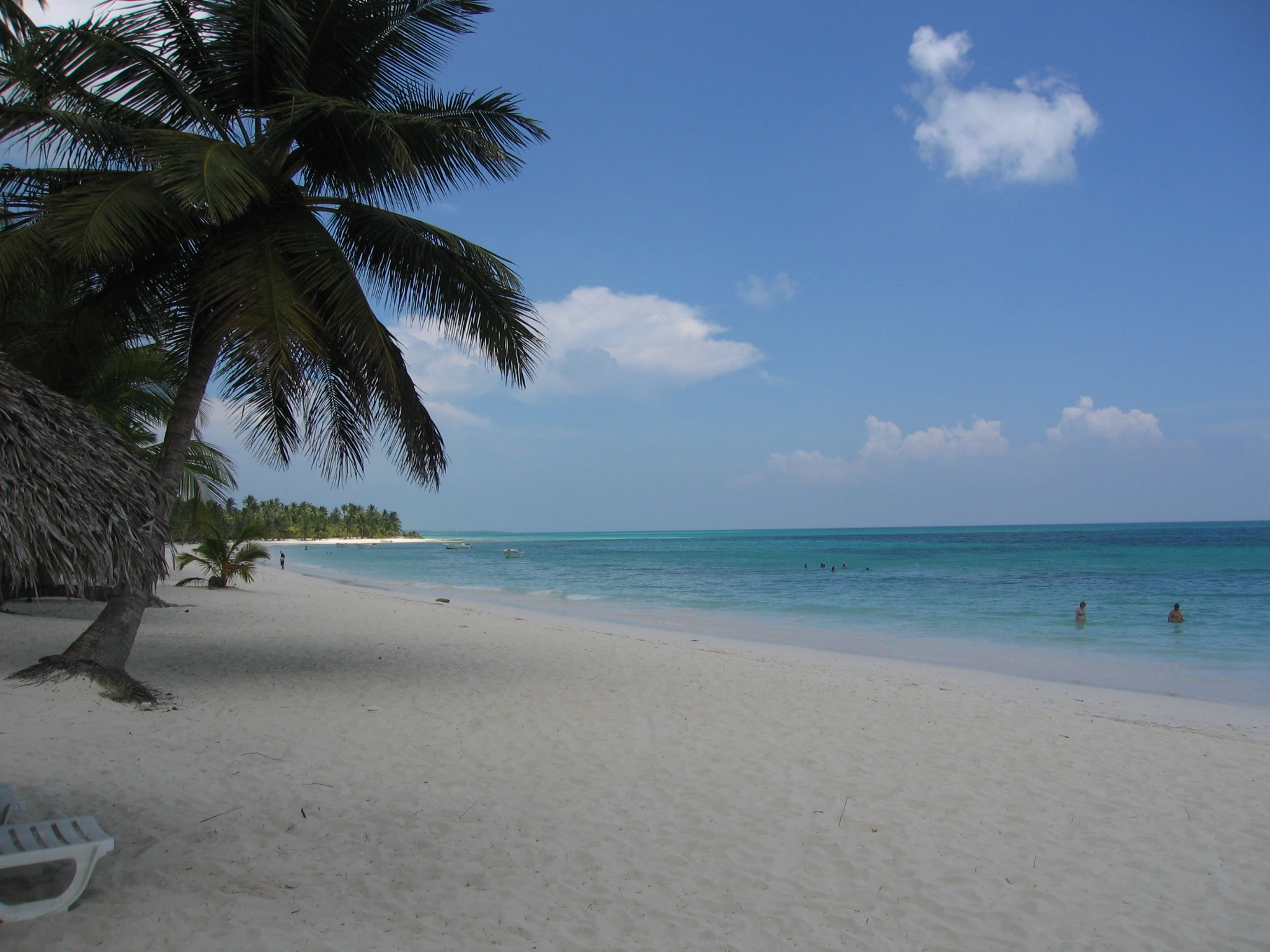 Coconut palms shade a broad white-sand Saona beach beside calm turquoise water.