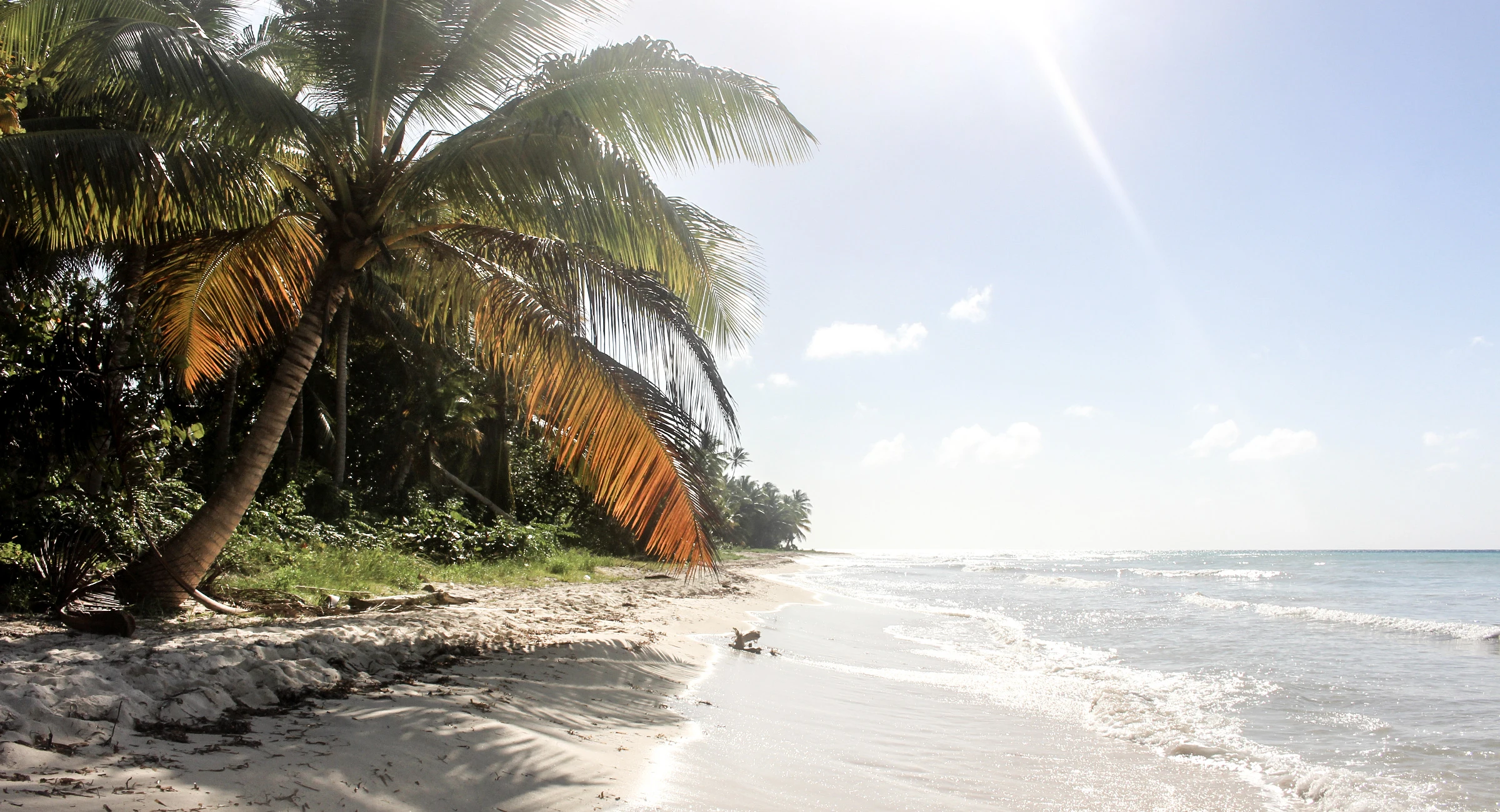 La luce del sole scintilla sull’acqua bassa che lambisce una spiaggia chiara di Saona sotto palme da cocco inclinate.