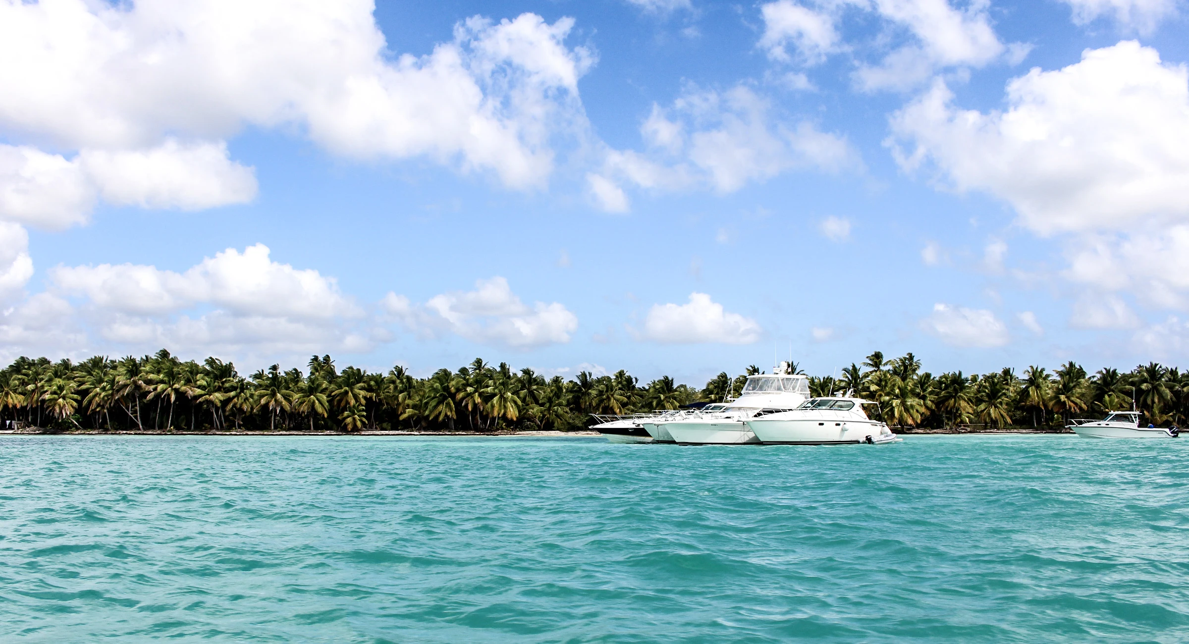 Uno yacht a motore bianco è fermo nell’acqua turchese accanto a una costa di Saona bordata di palme da cocco.