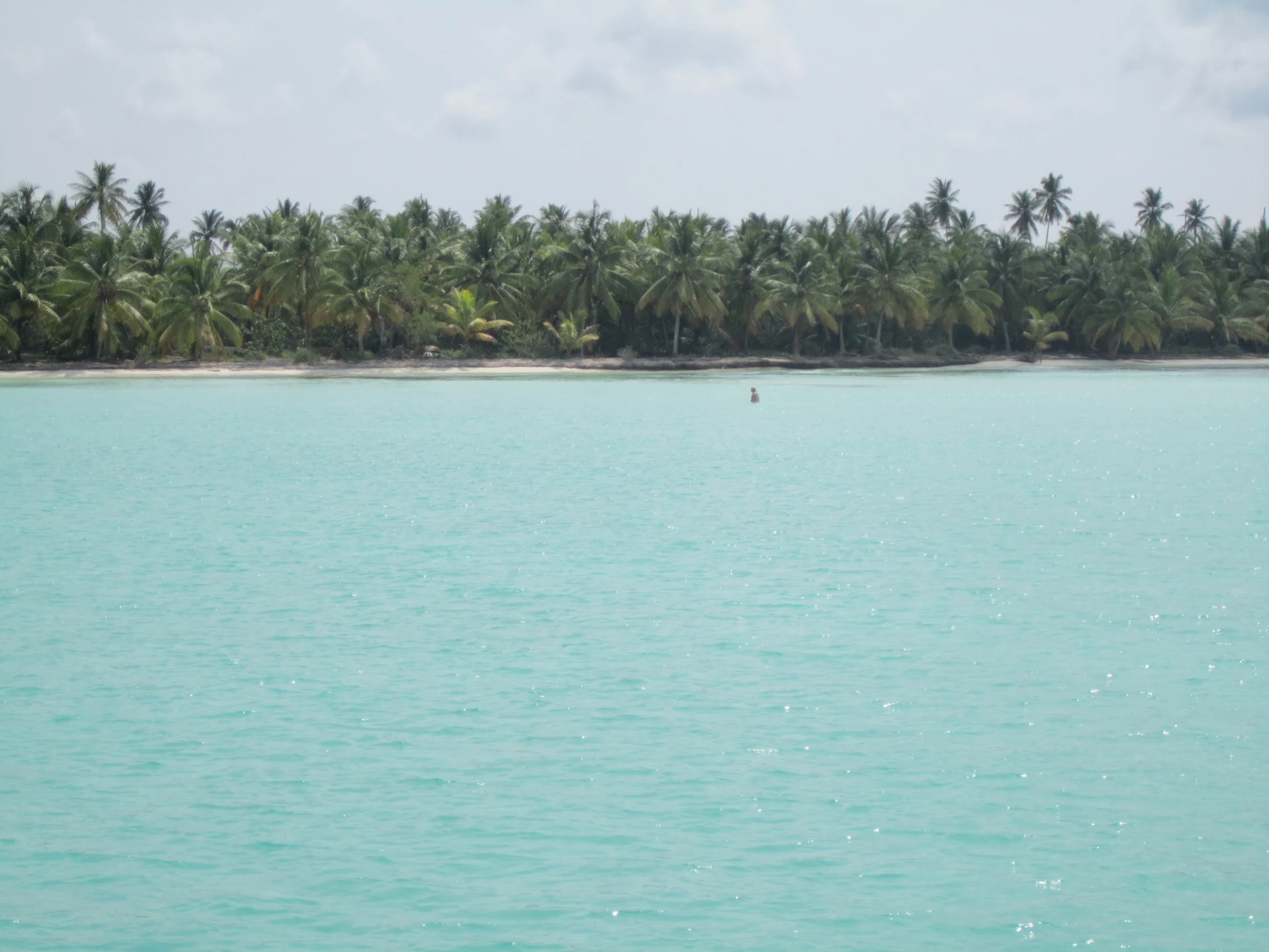 Un nuotatore lontano si riposa nell’acqua turchese chiara al largo della costa sabbiosa di Saona orlata di palme.