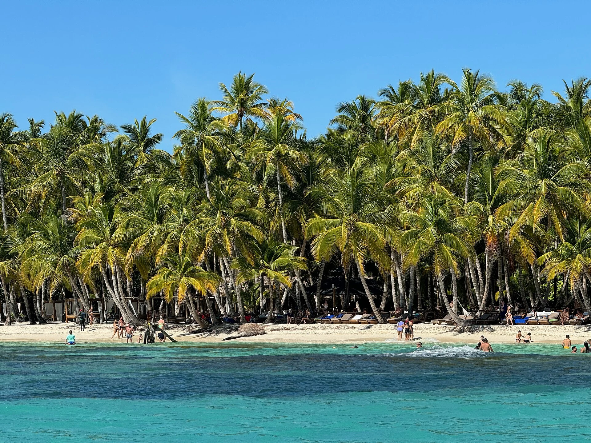 Acqua turchese e limpida e una spiaggia di sabbia bianca orlata di palme da cocco a Saona