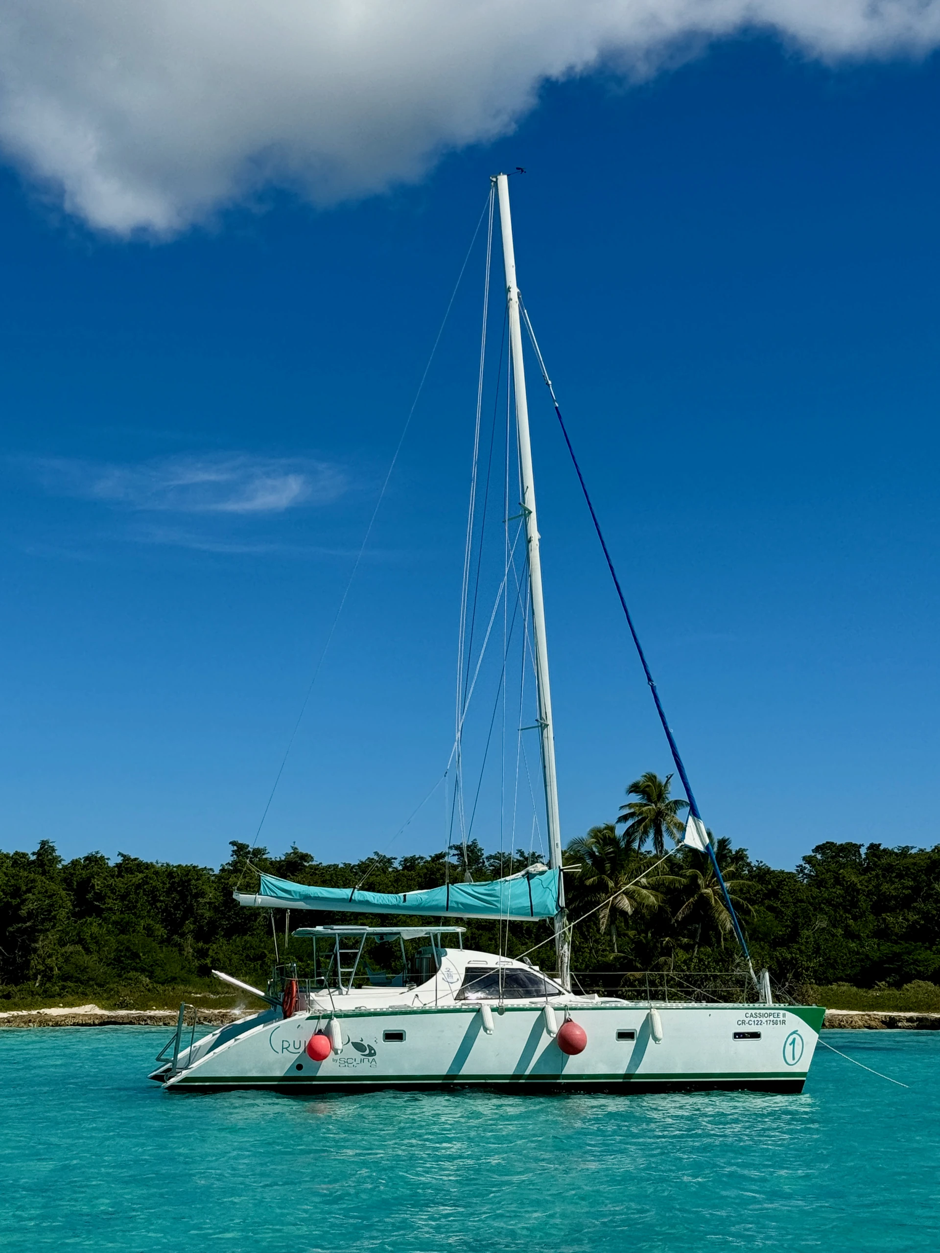 Un catamarano a vela bianco galleggia sull’acqua turchese accanto alla costa bassa e verde di Saona.