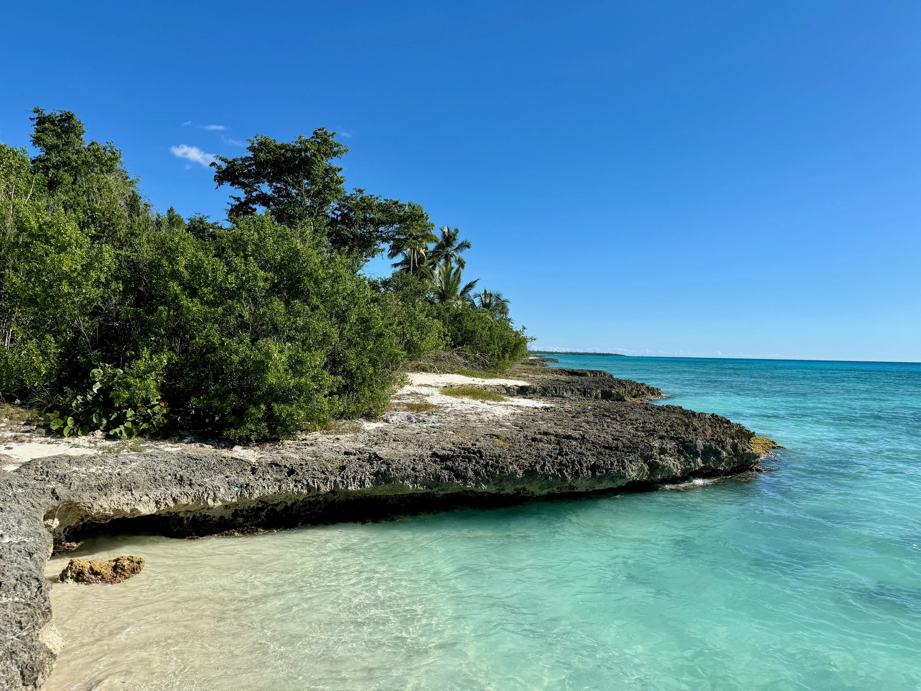 Acqua turchese limpida curva attorno a una bassa costa rocciosa di Saona con vegetazione verde sullo sfondo.