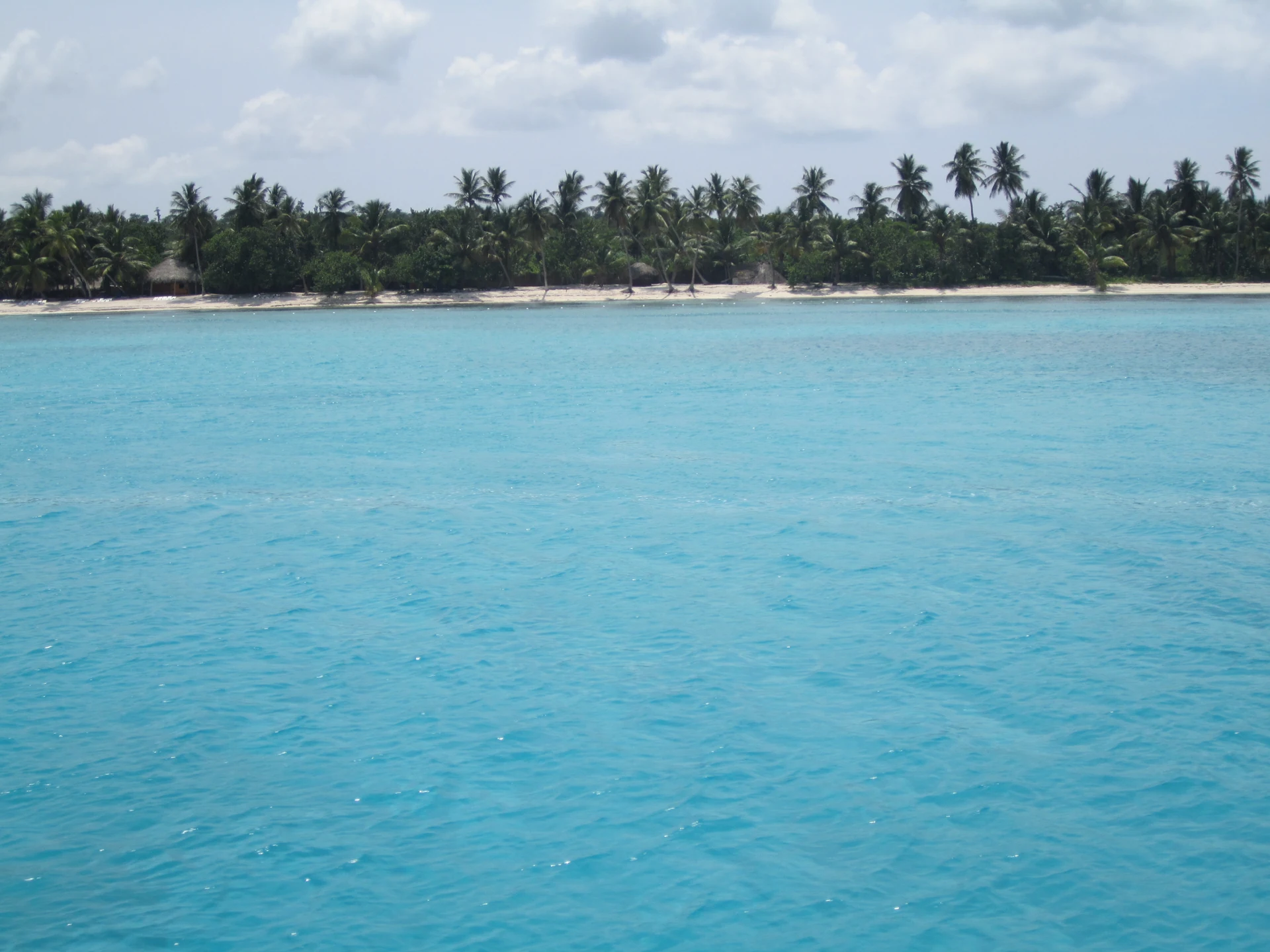 Un’ampia fascia di mare turchese costeggia una lunga spiaggia orlata di palme sull’isola di Saona.