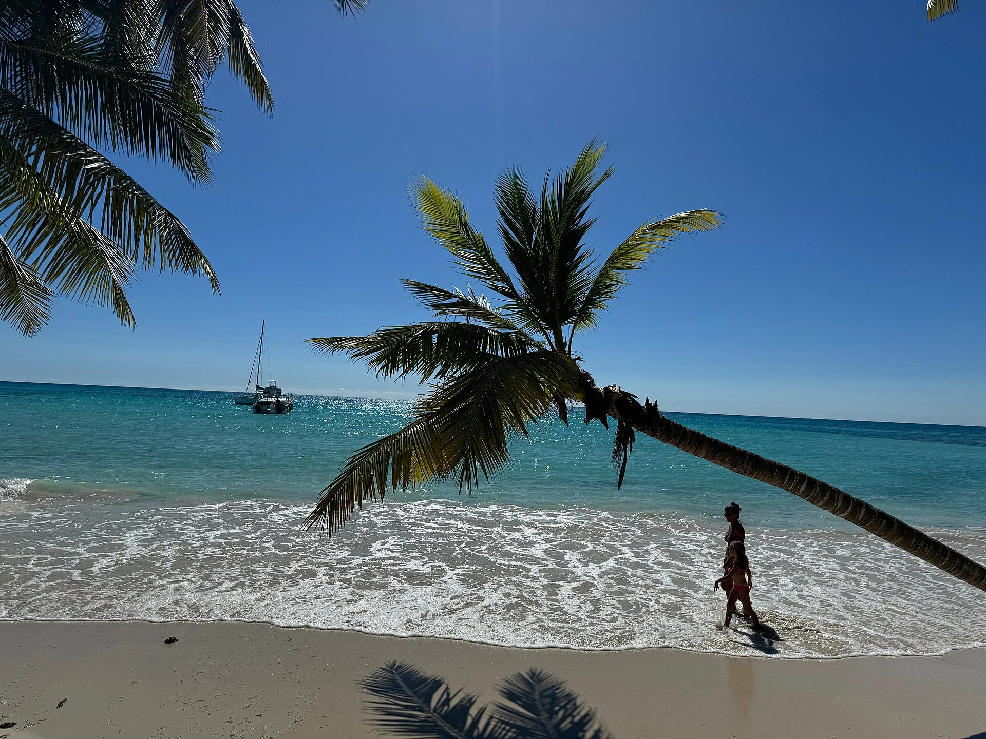 Una palma da cocco inclinata sopra sabbia bianca e onde che si infrangono a Saona