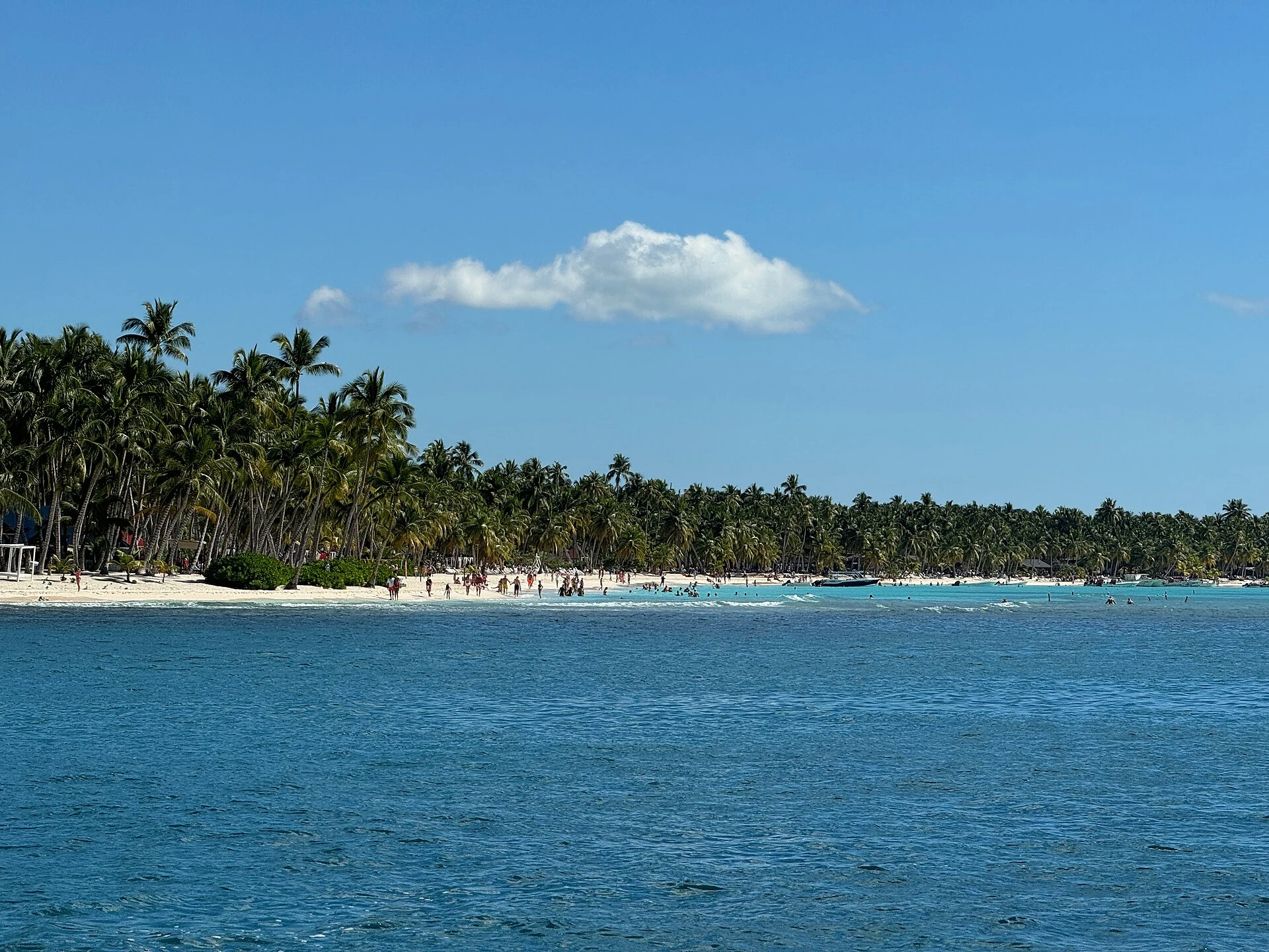 Un ampio litorale di sabbia bianca a Saona con palme da cocco e mare azzurro sullo sfondo