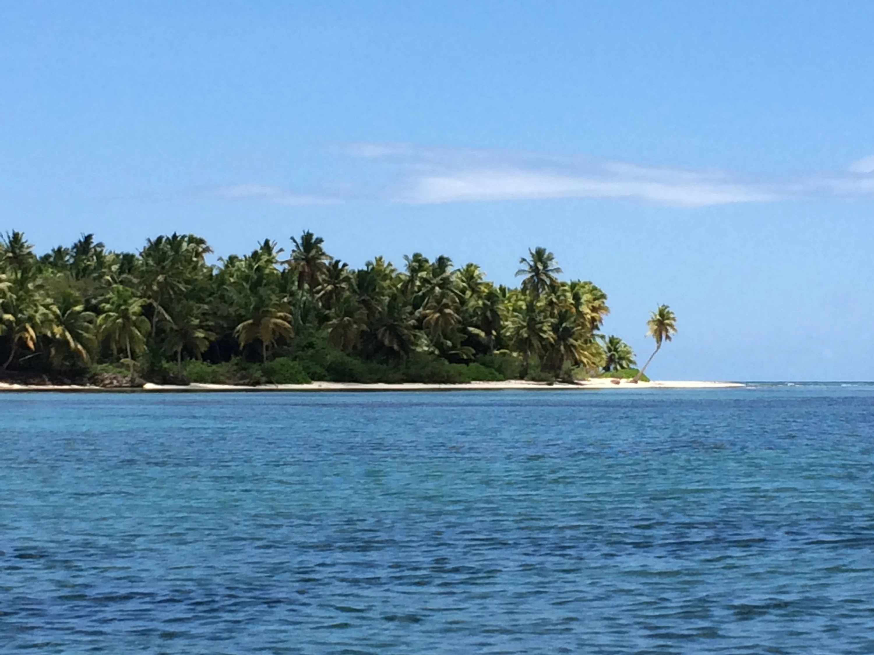 Una costa di Saona coperta di palme da cocco e una stretta spiaggia chiara viste dalle acque blu intenso dei Caraibi.