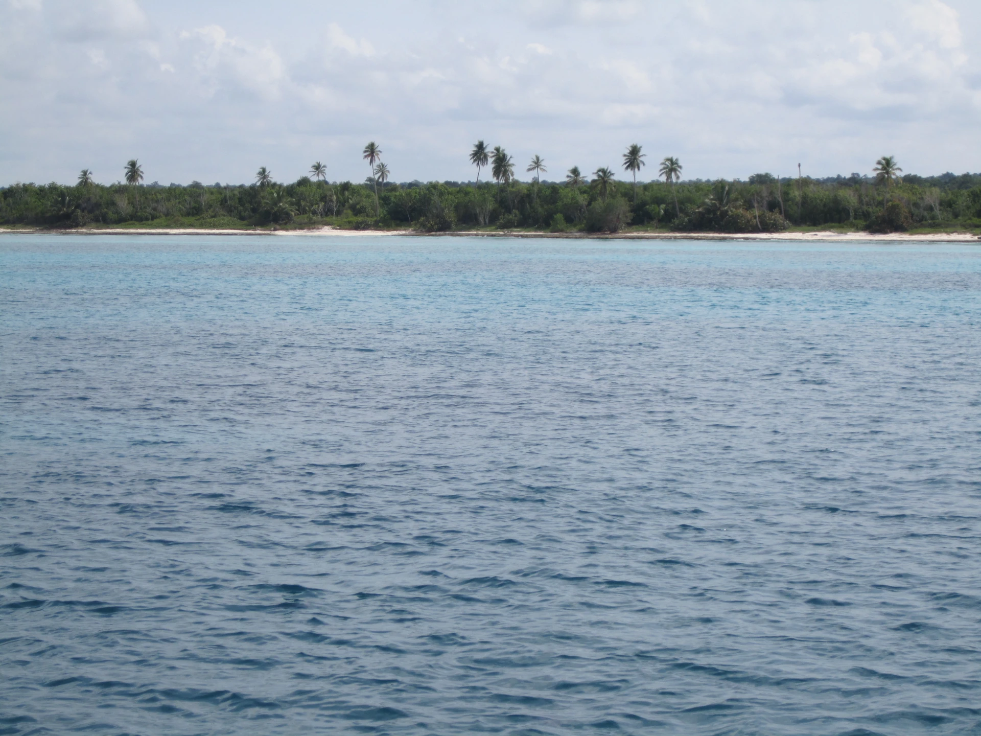 Le acque blu dei Caraibi lambiscono una costa bassa e sabbiosa con palme sparse sull’isola di Saona.
