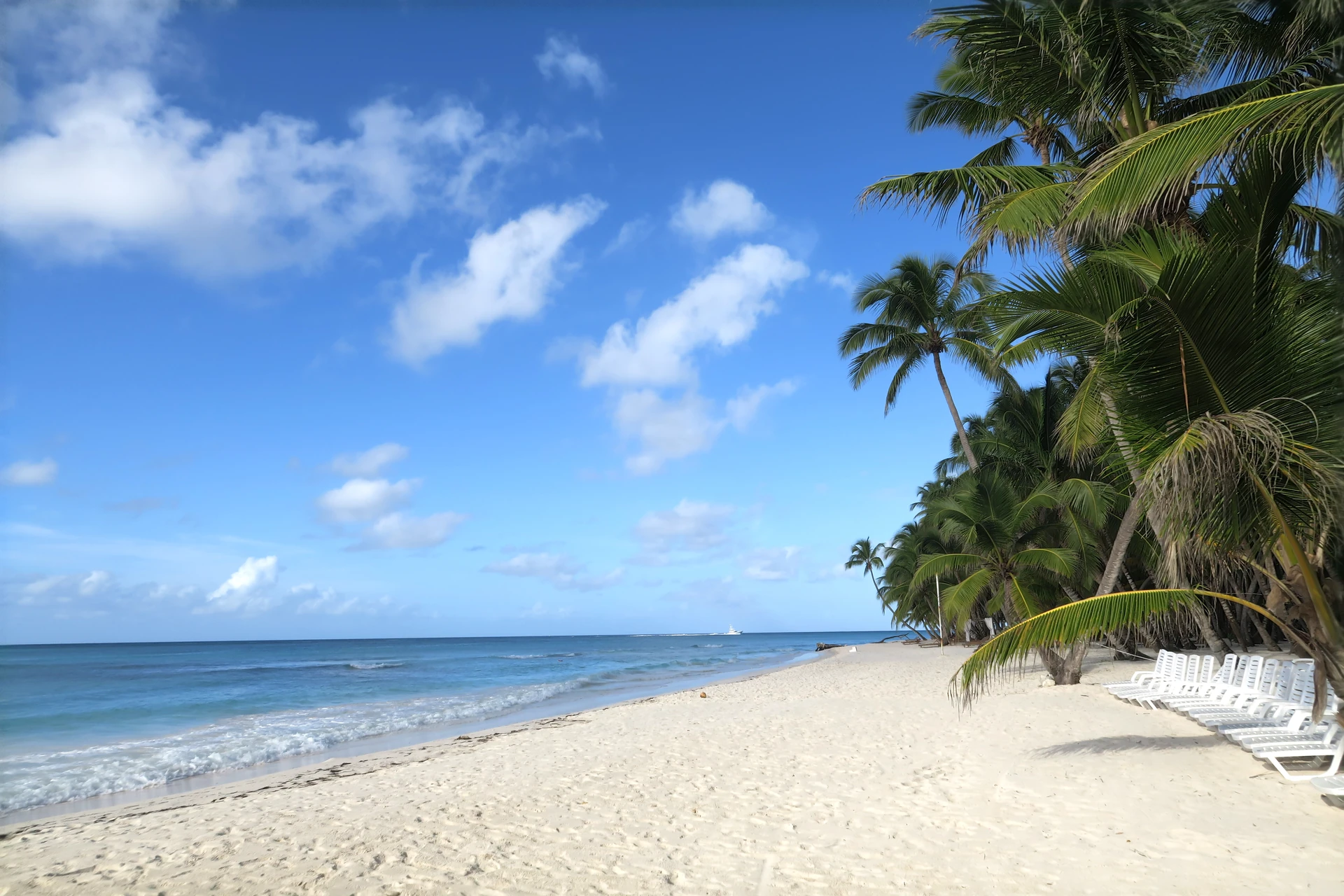 Un’ampia spiaggia bianca di Saona si estende accanto alle acque blu dei Caraibi, con palme da cocco e lettini bianchi.