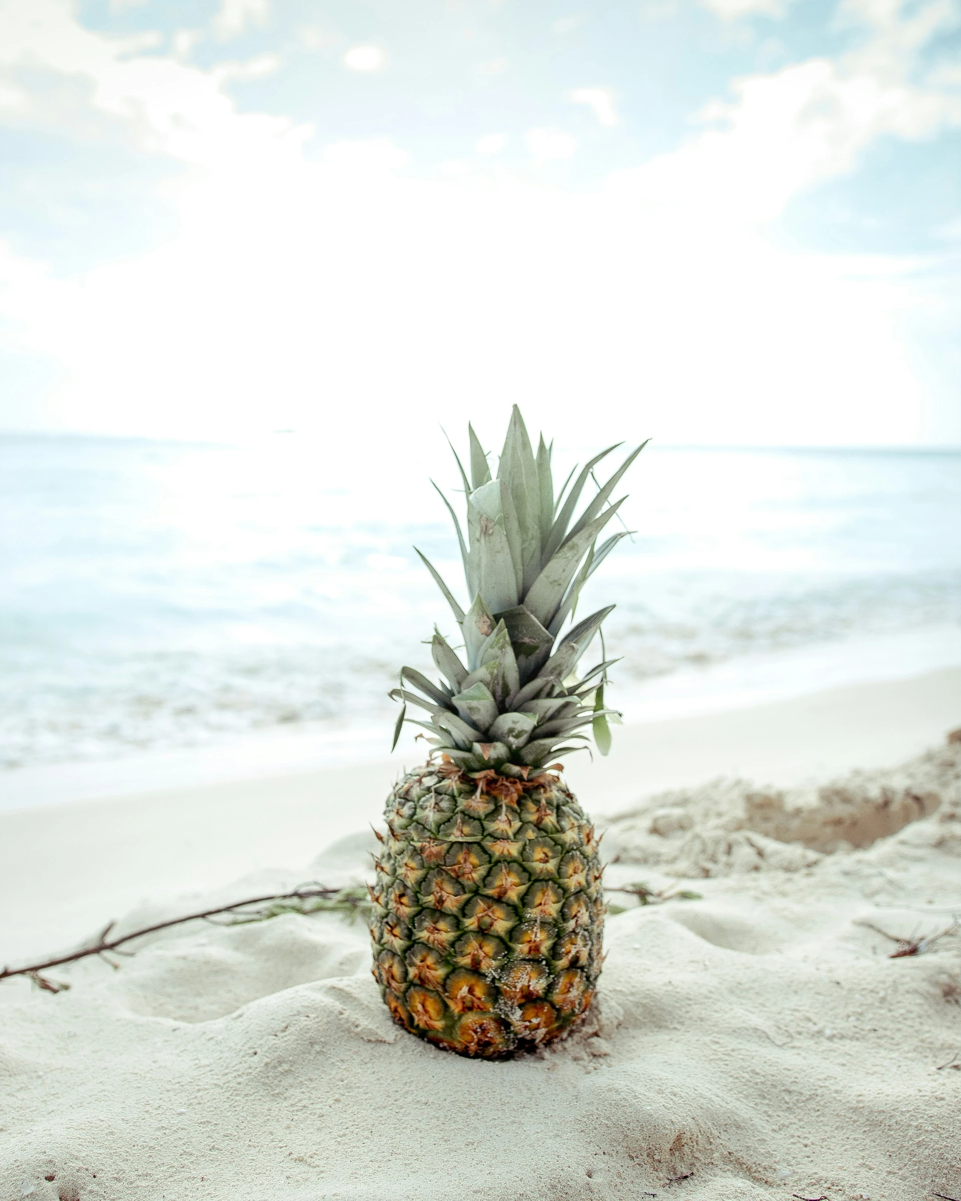 Un ananas è appoggiato sulla sabbia chiara con il mare turchese sfocato sullo sfondo a Saona.