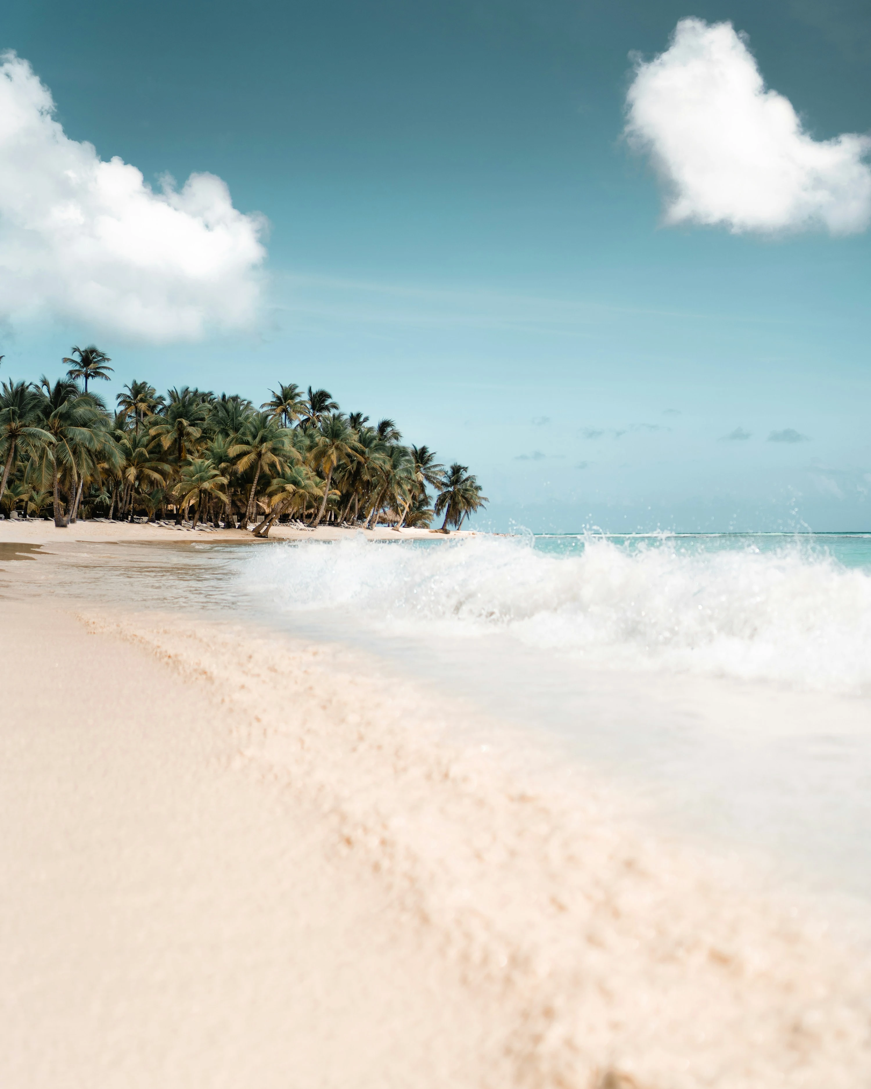 Un’onda si infrange sulla sabbia chiara di Saona, con una costa ricoperta di palme in lontananza.