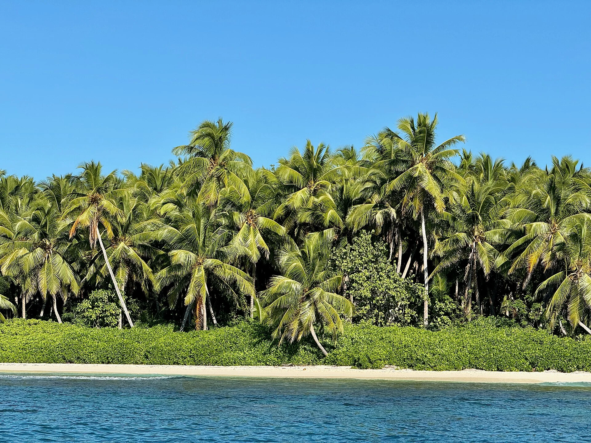 Una luminosa costa di Saona orlata di palme, vista oltre l’acqua turchese