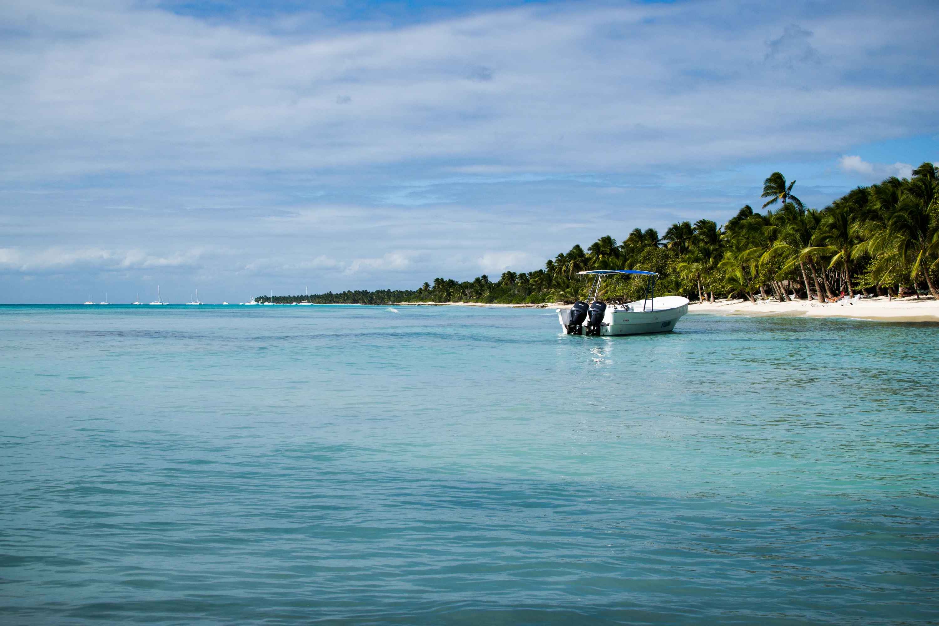 Un piccolo motoscafo galleggia in acque limpide accanto alla spiaggia bianca e alle fitte palme da cocco di Saona.