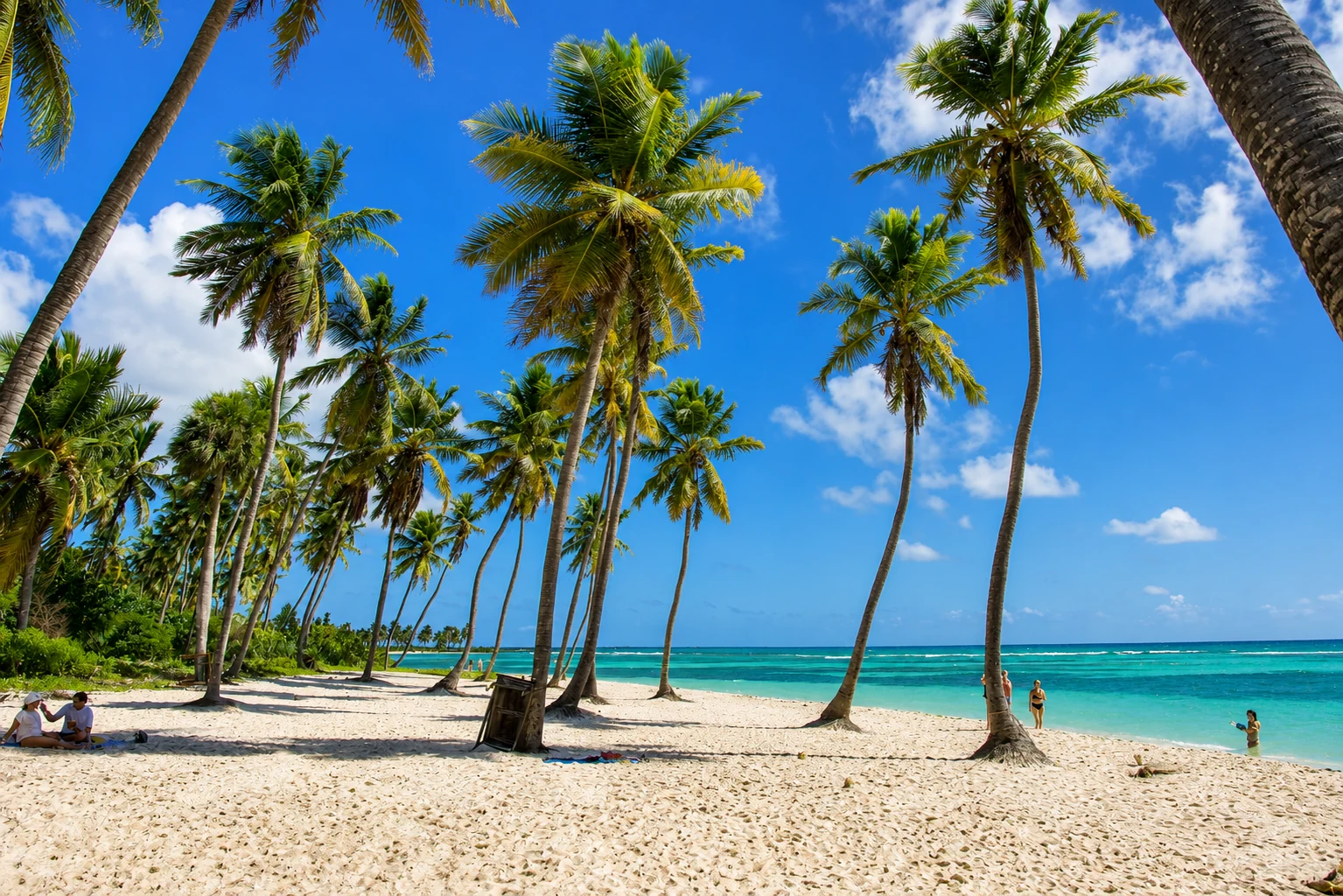 En kridhvid strand på Saona ved klart, turkisblåt caribisk vand