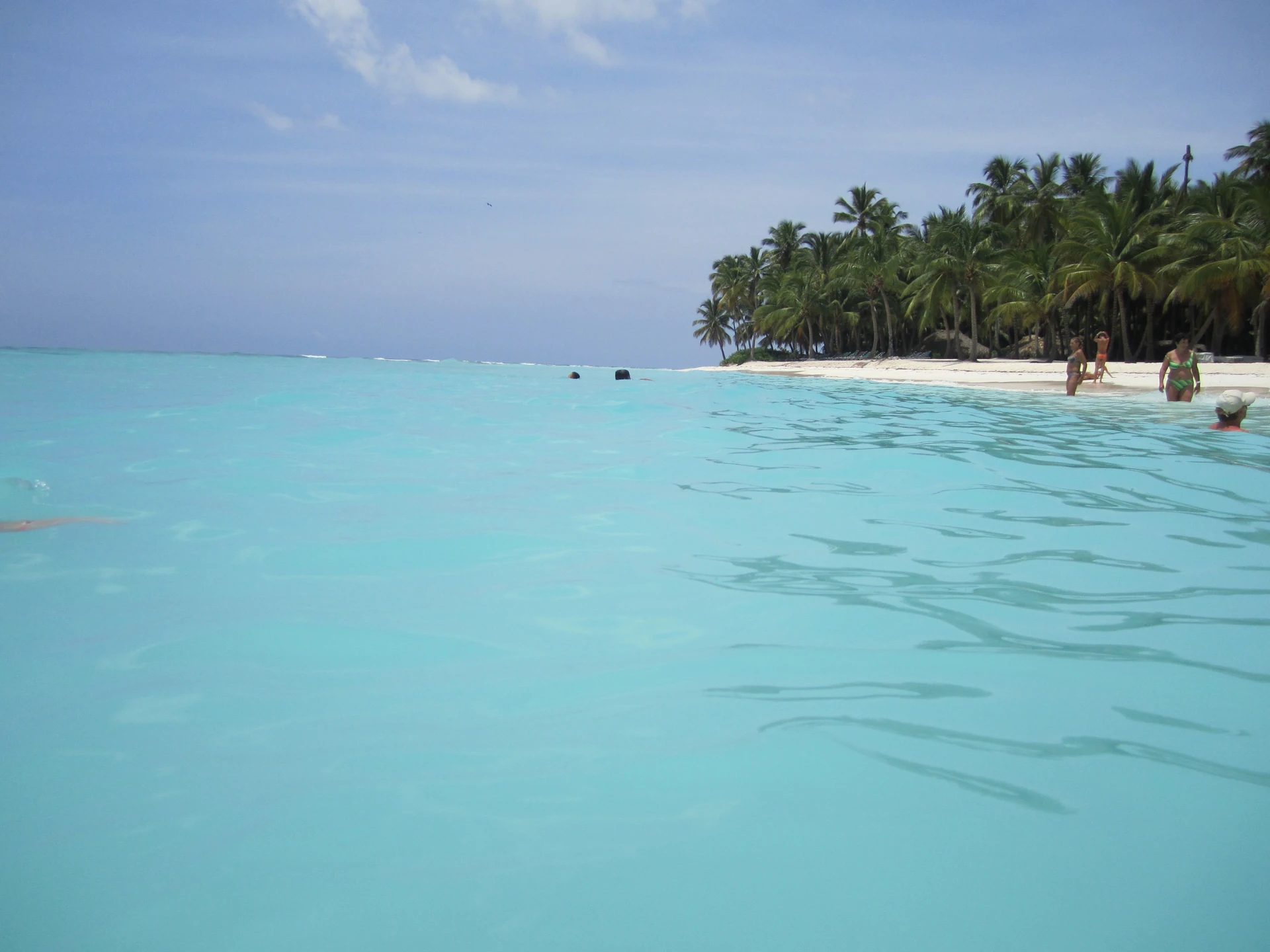 Acque basse turchesi lambiscono una spiaggia bianca di Saona orlata di palme da cocco, con pochi visitatori vicino alla riva.